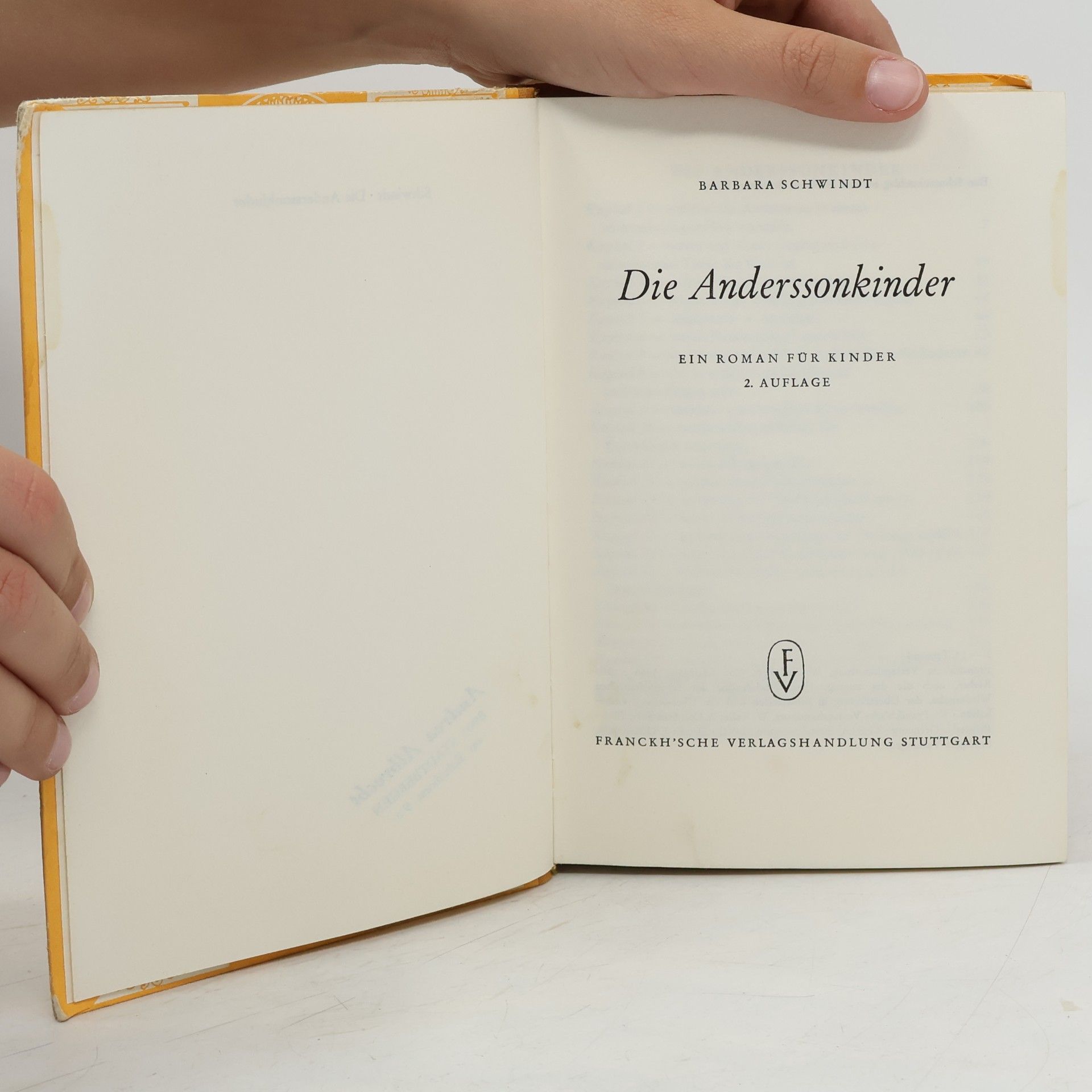 Barbara Schwindt Die Anderssonkinder
