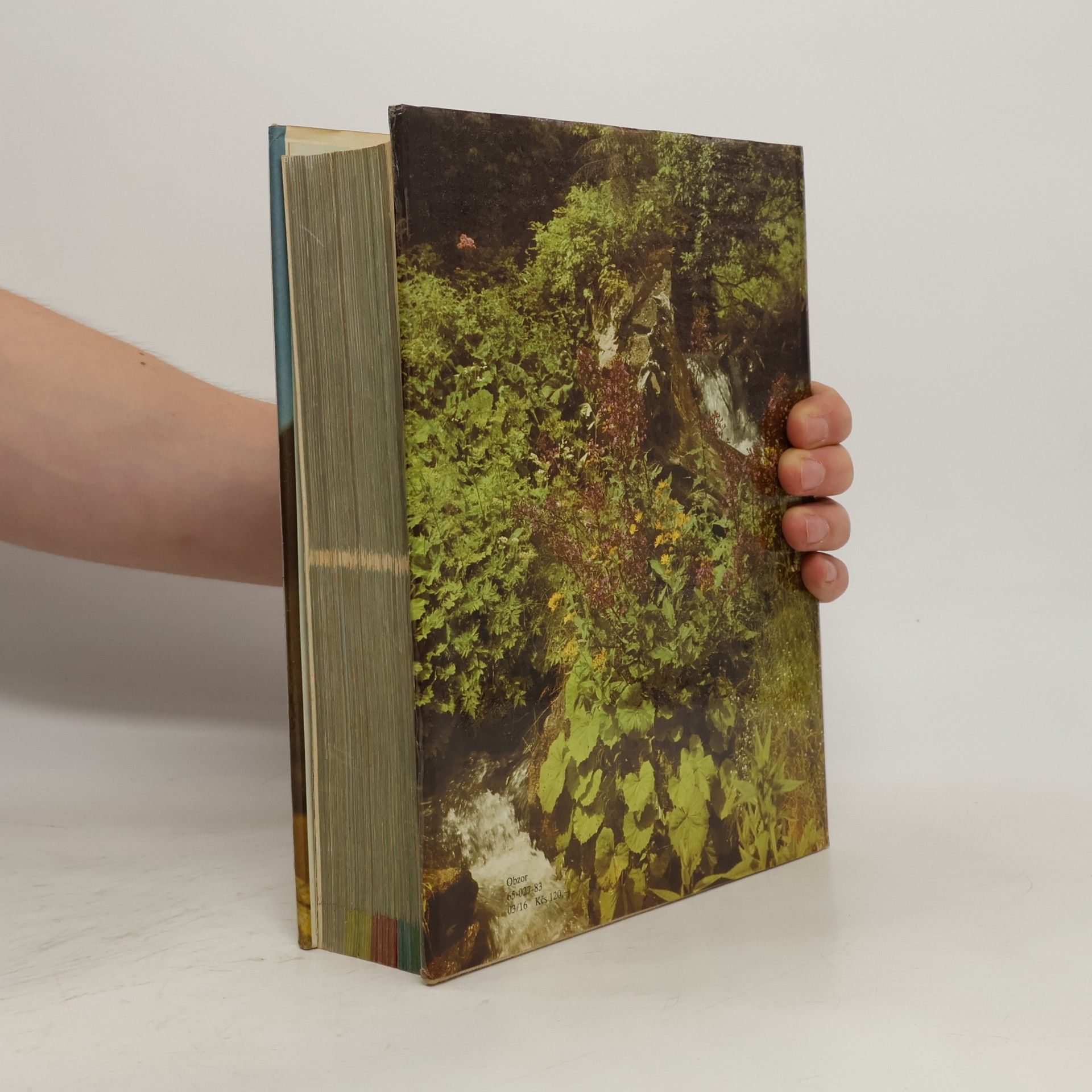 Izabela Háberová Barevný atlas rostlin