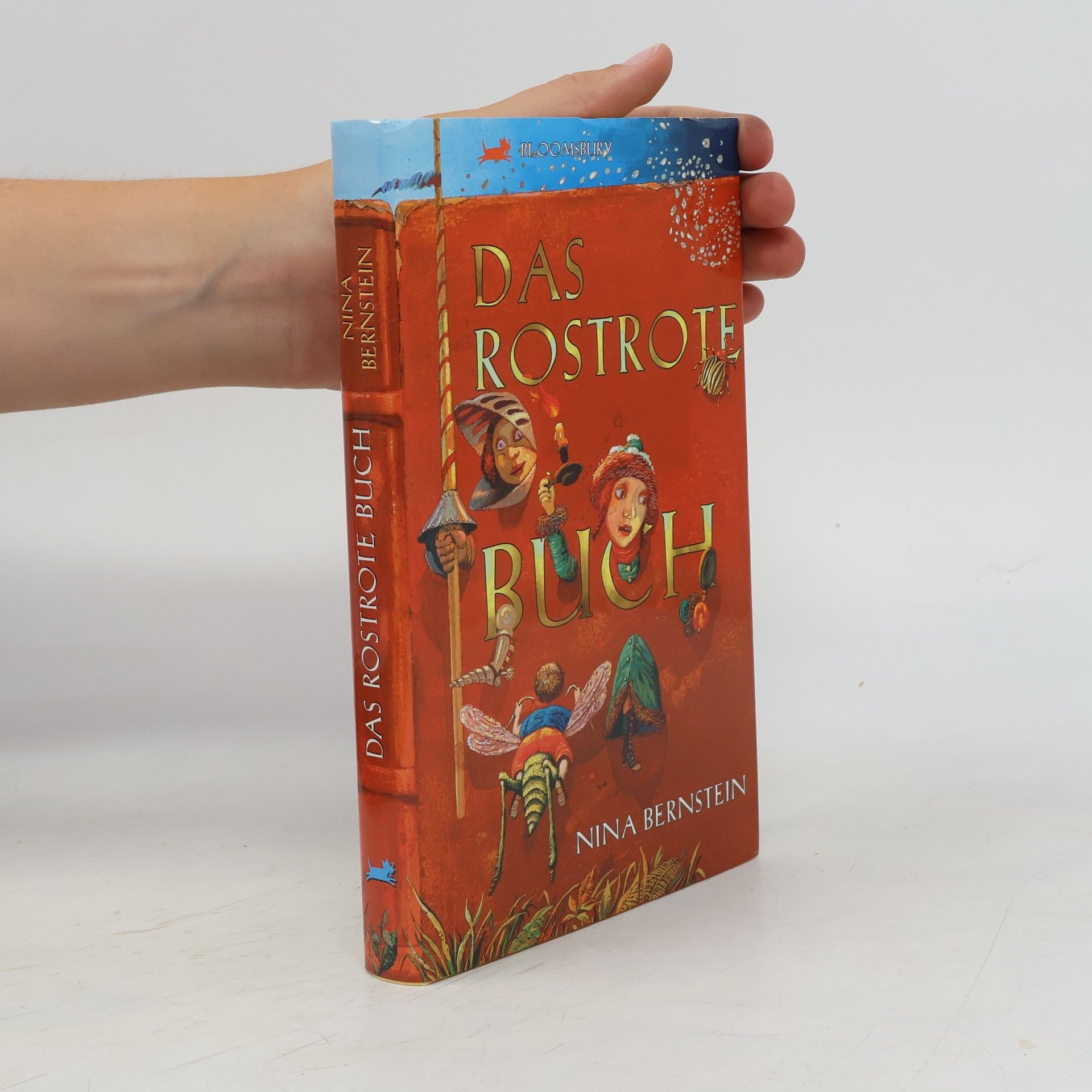 Nina Bernstein Das rostrote Buch