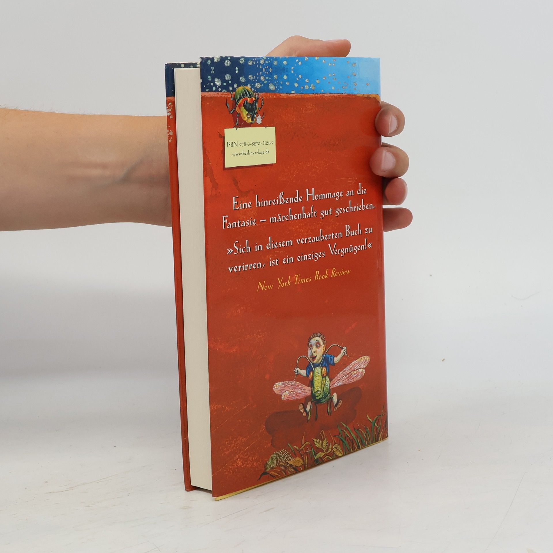 Nina Bernstein Das rostrote Buch