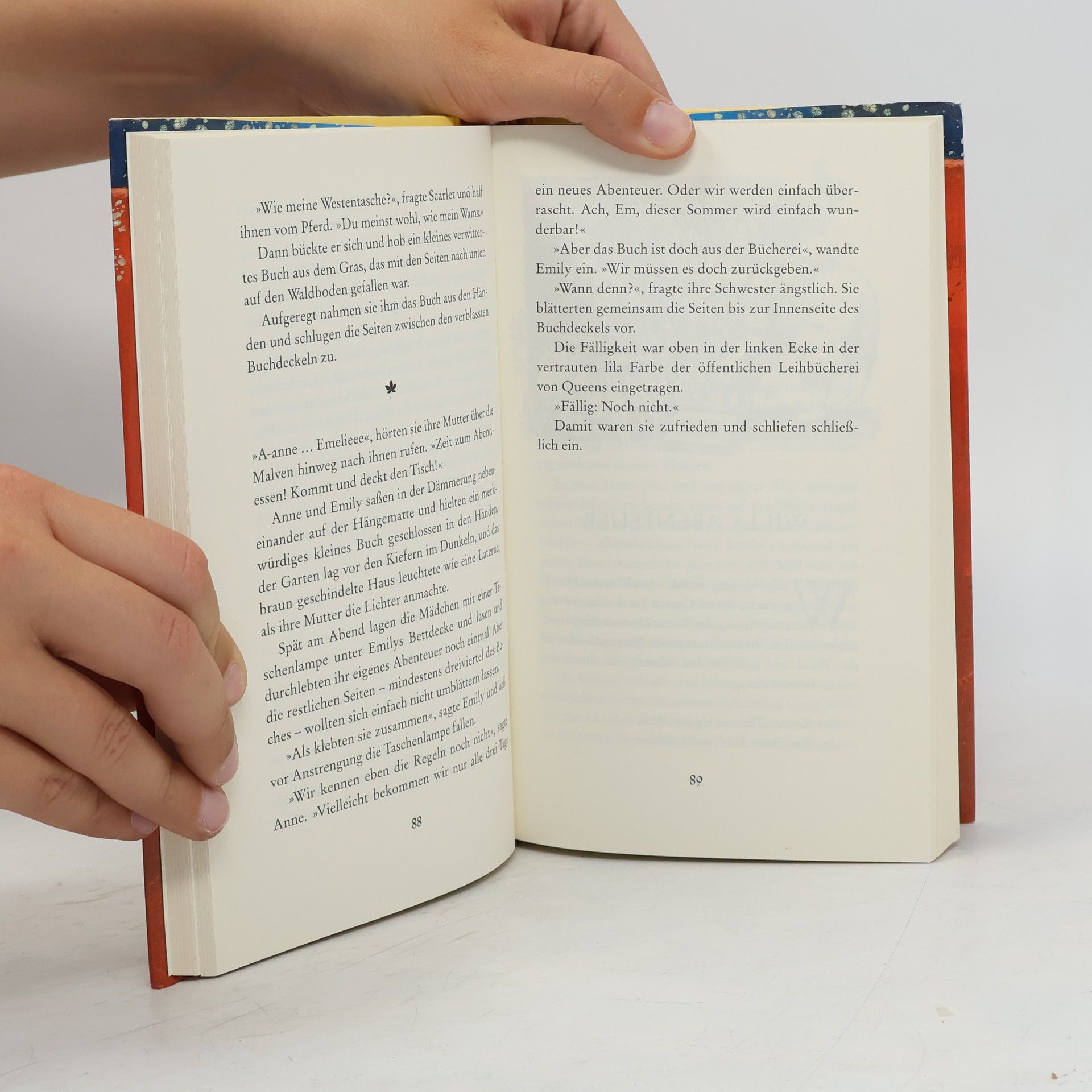 Nina Bernstein Das rostrote Buch