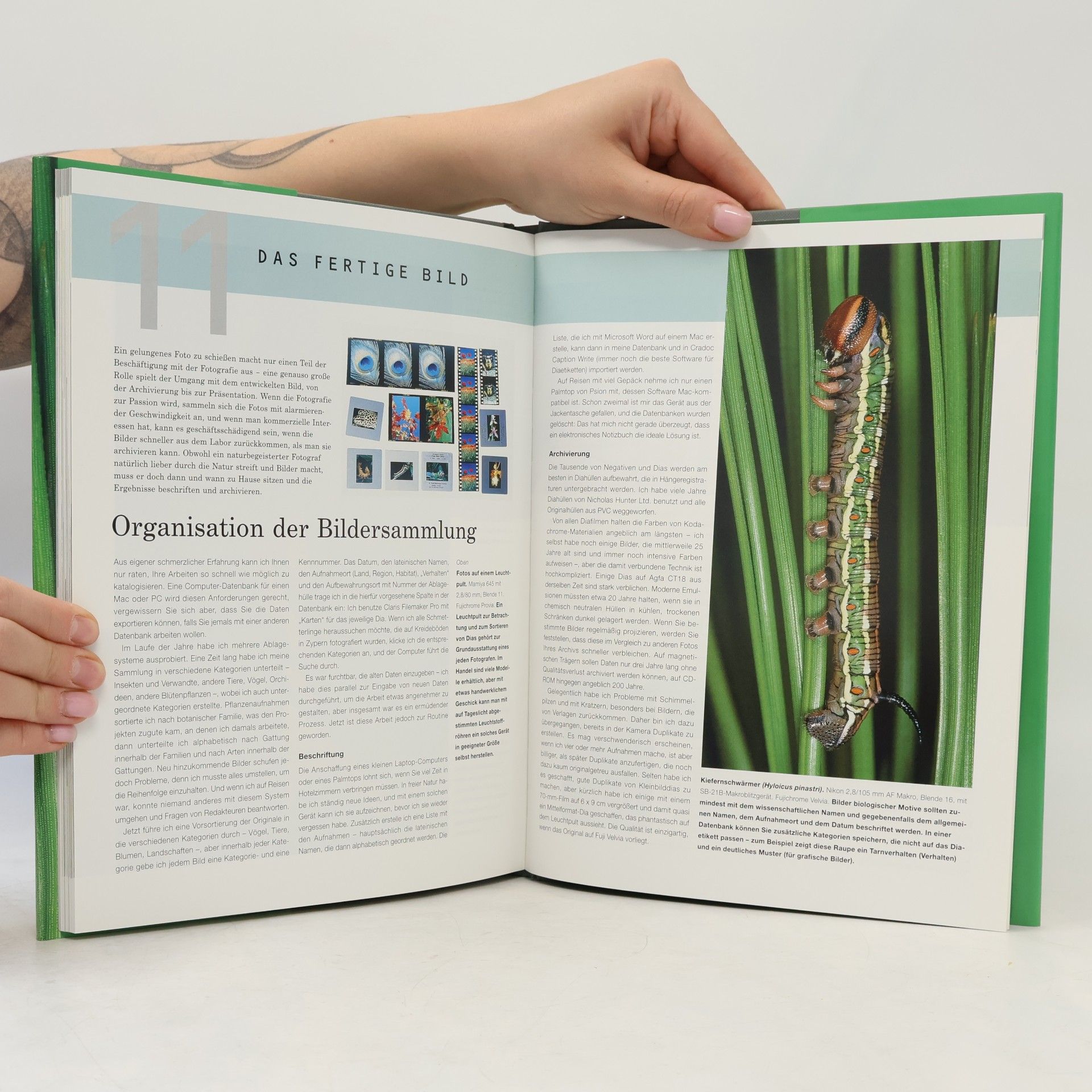 Paul Harcourt Davies Nah- und Makrofotografie