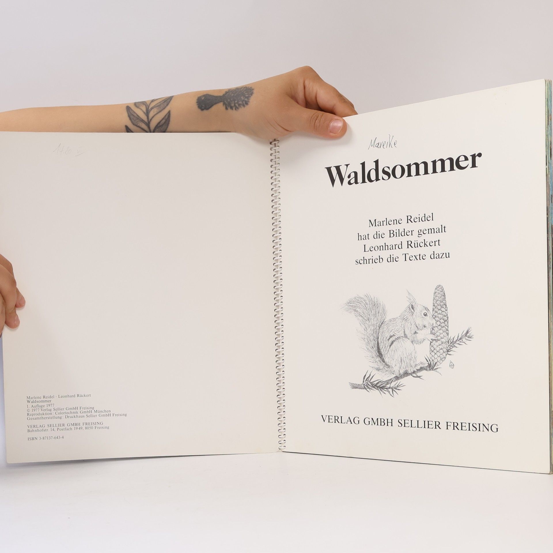 leonhard rückert Waldsommer