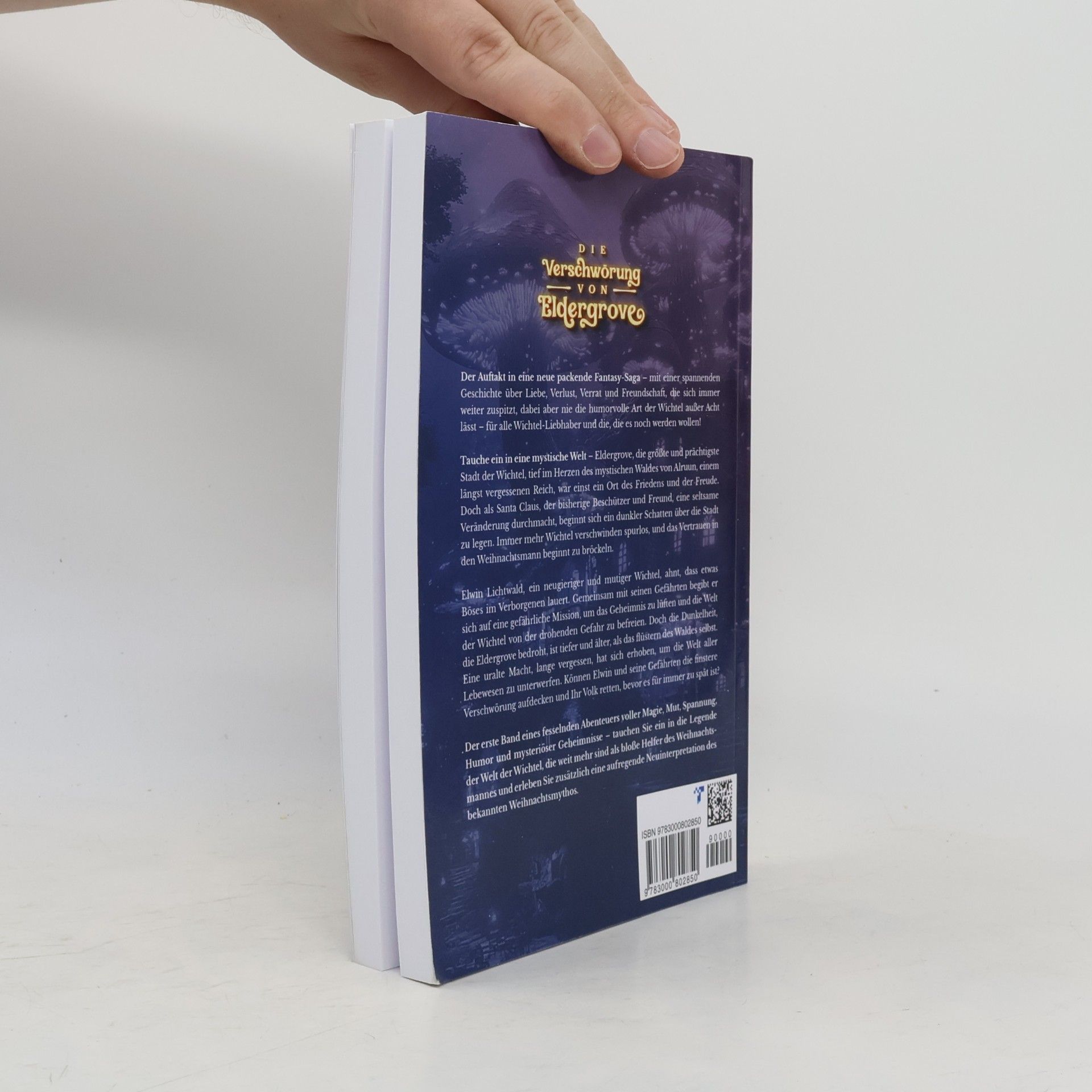 Jan Nowatschek Eldergrove Fantasy Saga - 1: Die Verschwörung von Eldergrove