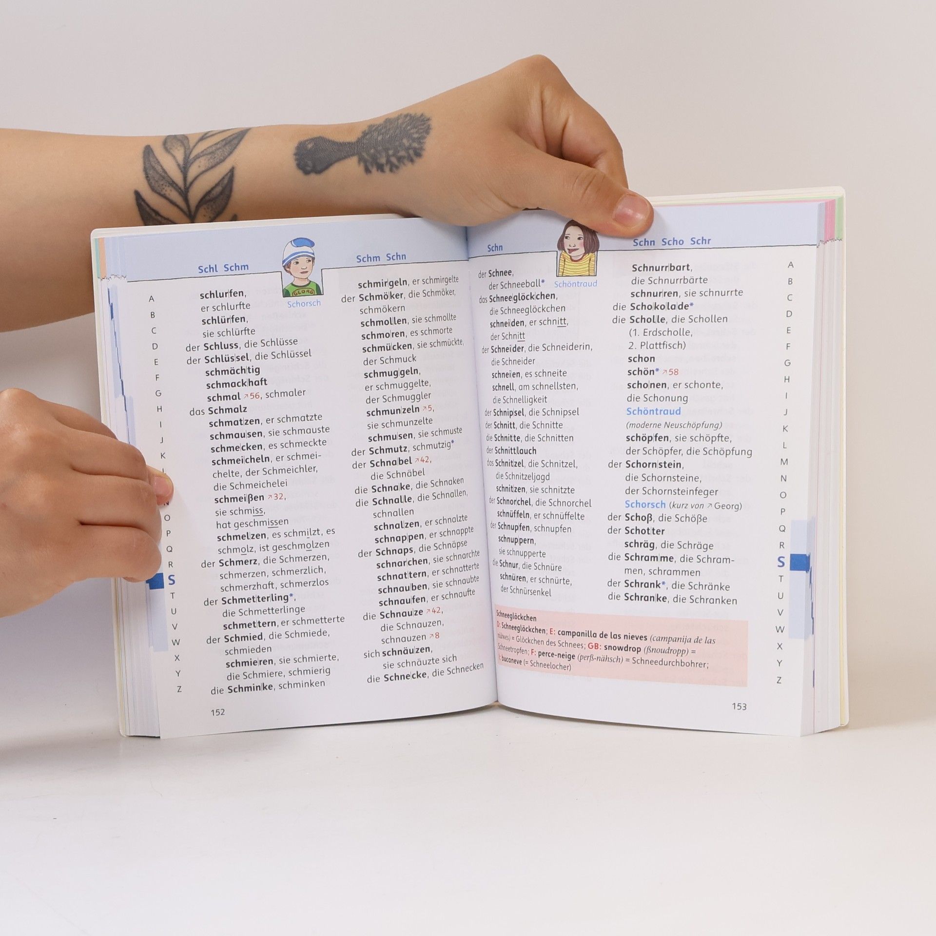 Gerhard Sennlaub Lollipop, Wörterbuch für Kinder der Grundschule, m. Bild-Wort-Lexikon Englisch