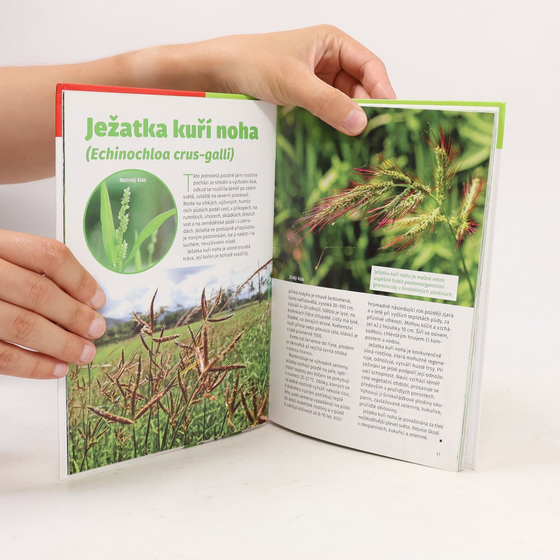 Miloš Kučera Atlas plevelů