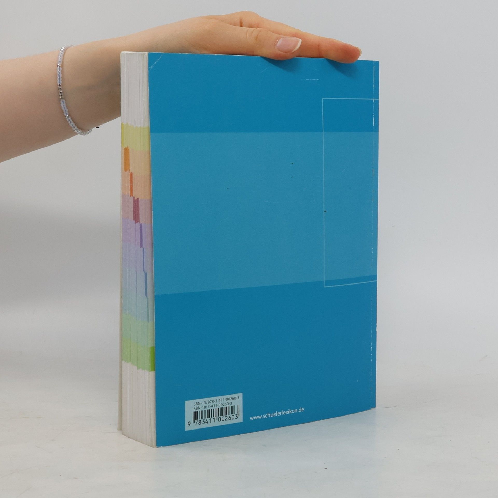Autorenkollektiv Abiturwissen. Physik