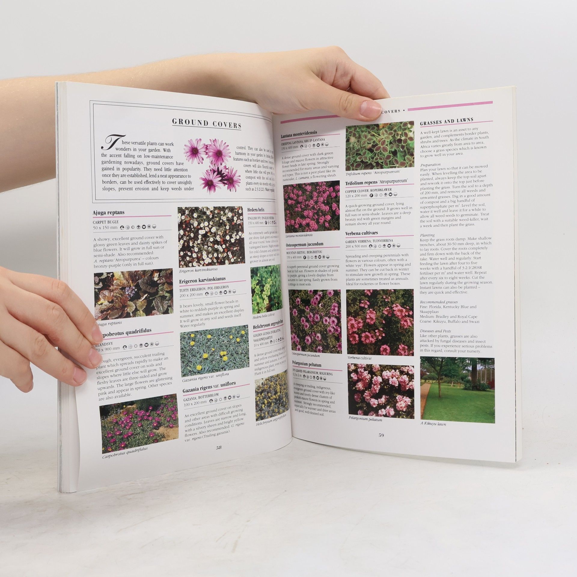 Kristo Pienaar Everyone's Guide to Gardening