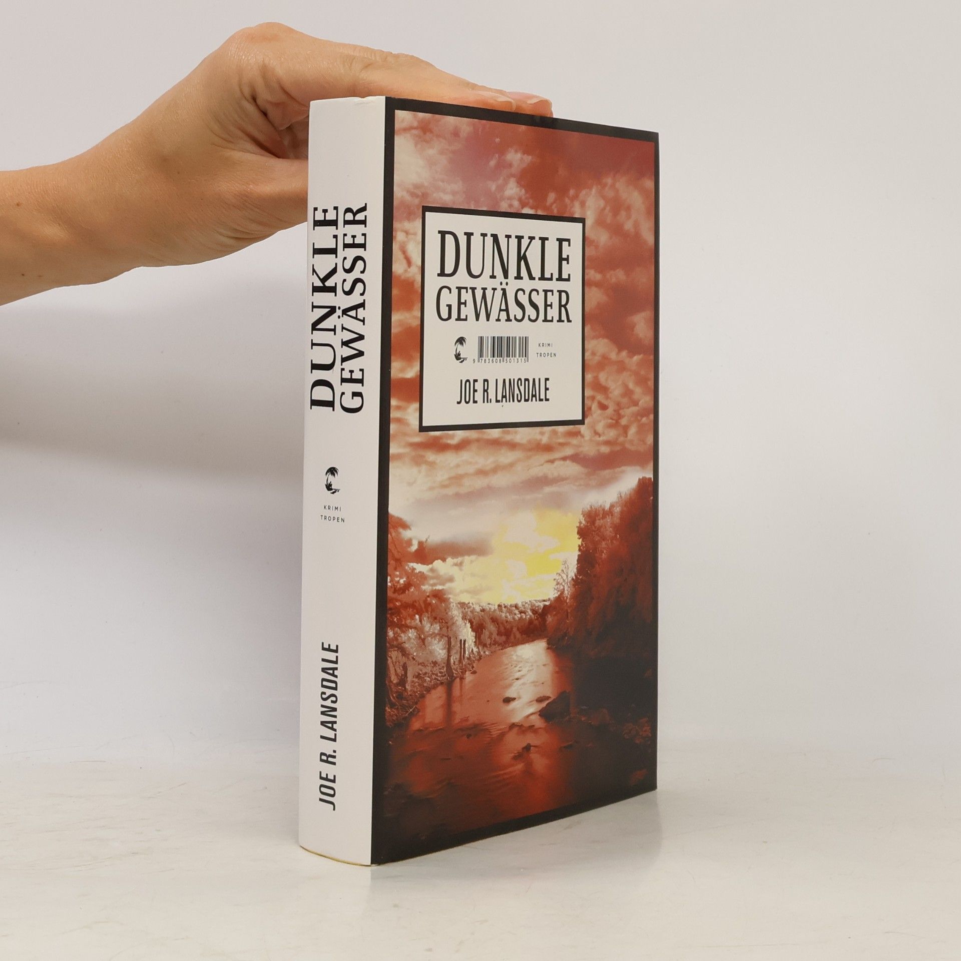 Joe R. Lansdale Dunkle Gewässer