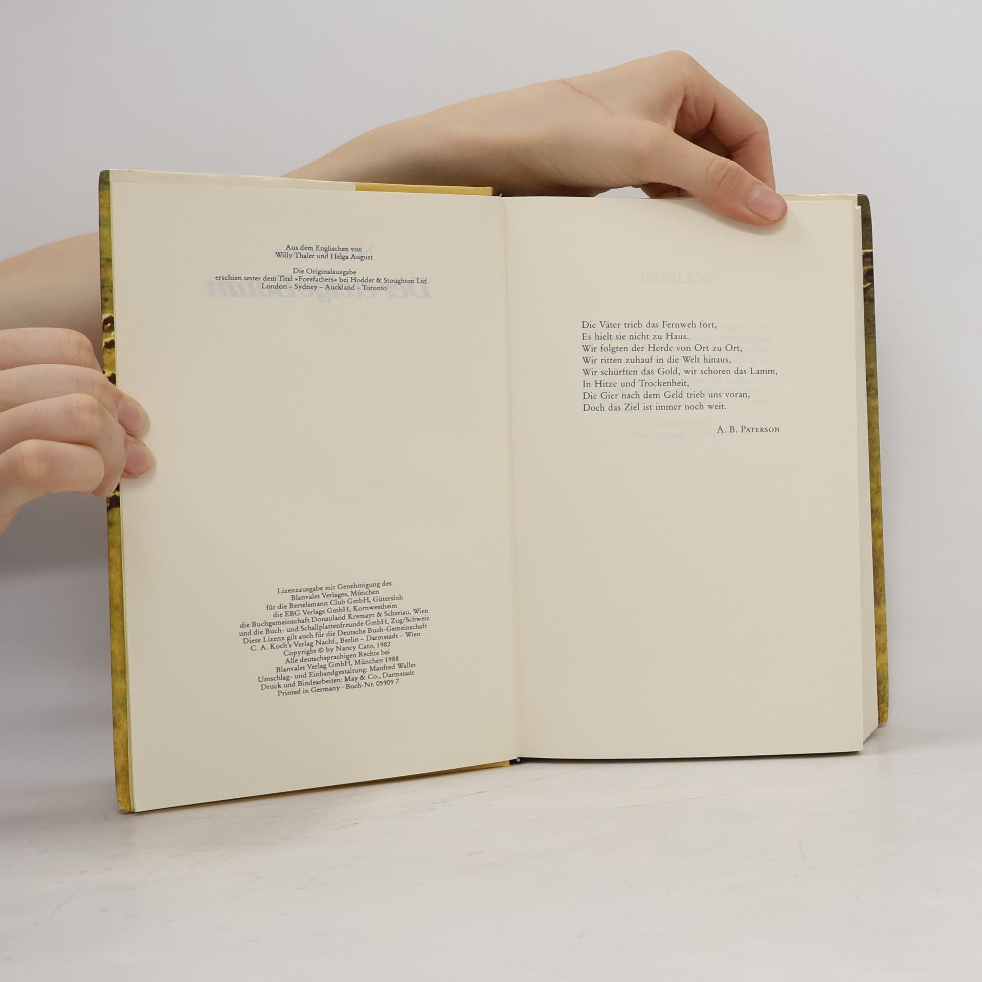 Nancy Cato Der ewige Baum