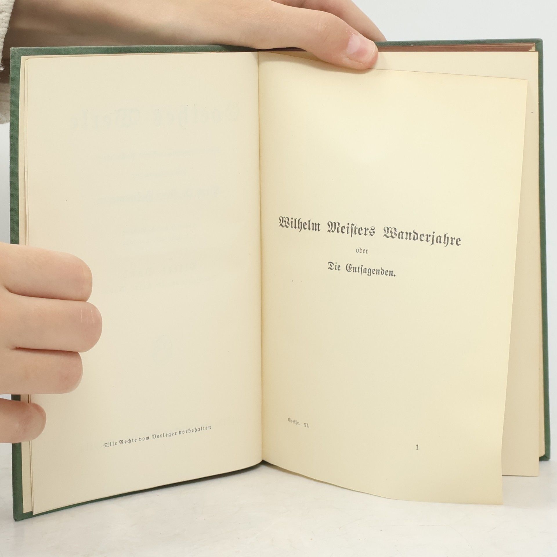 Prof. Dr. Karl Heinemann Goethes Werke 11