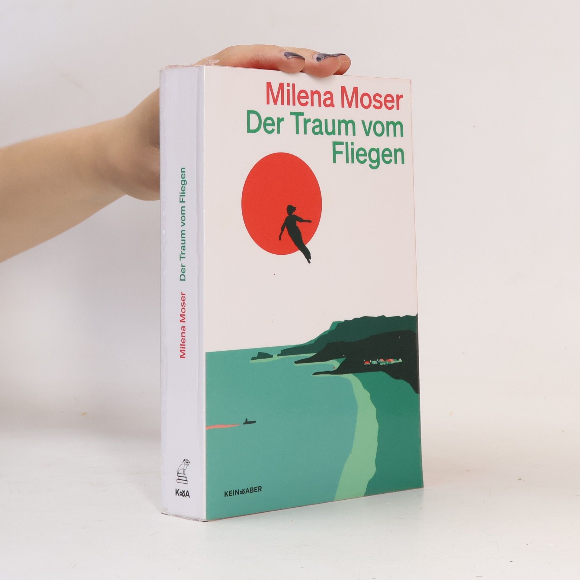 Milena Moser Der Traum vom Fliegen