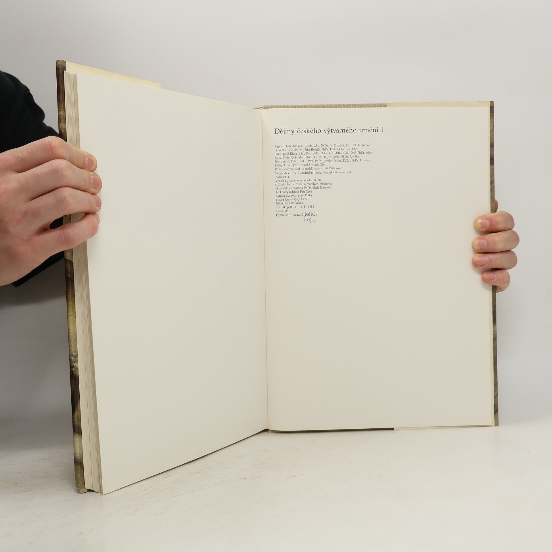 Various authors Dějiny českého výtvarného umění I/2