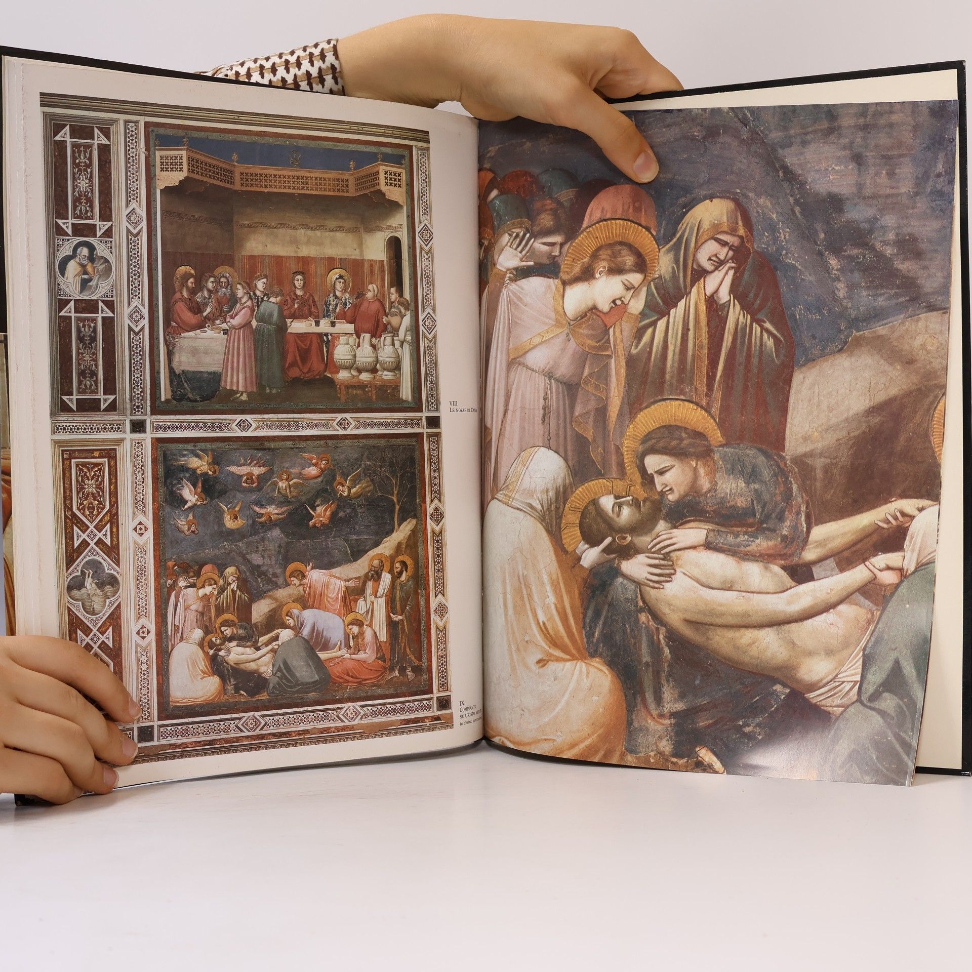 kolektiv I giganti della pittura - Giotto