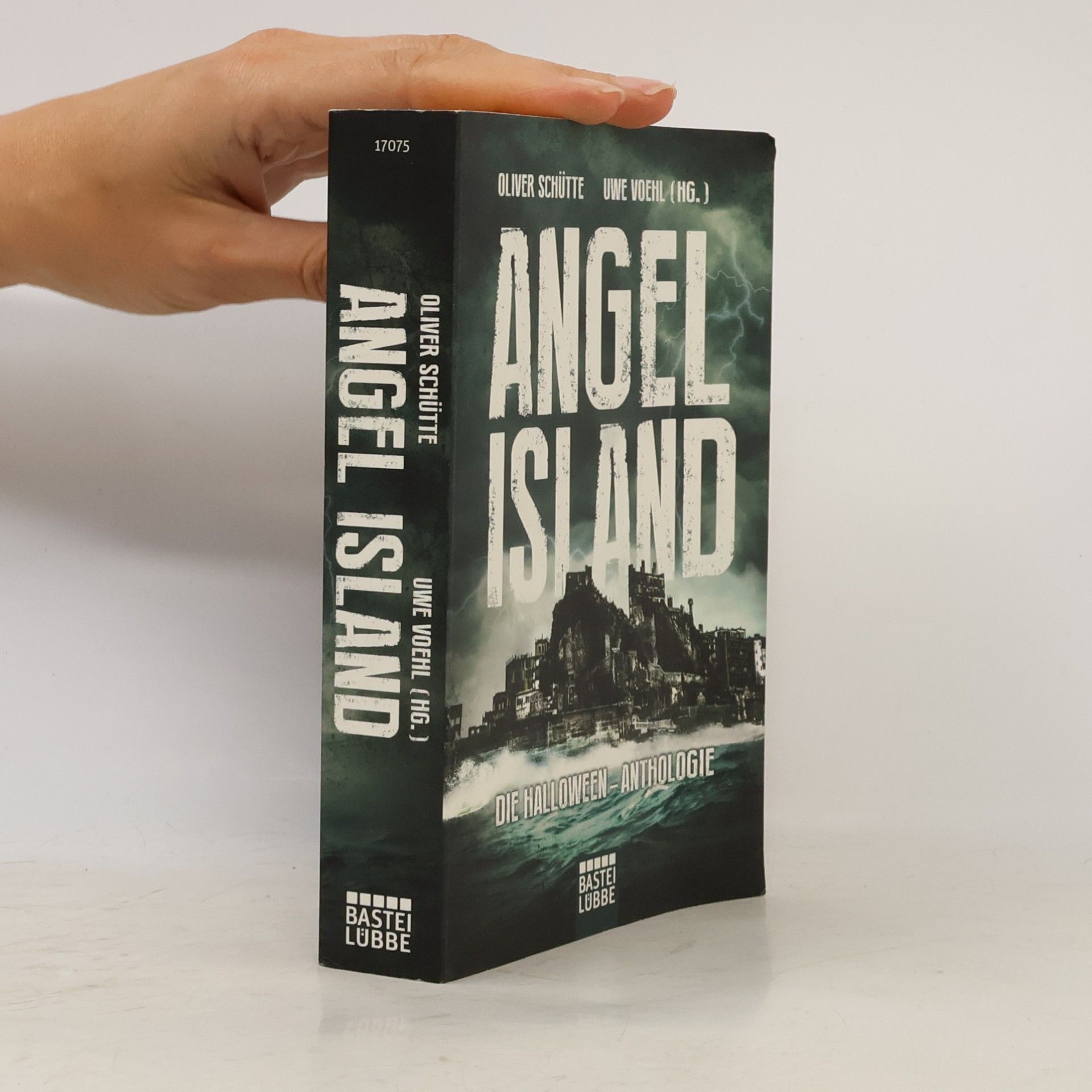 Oliver Schütte Angel Island