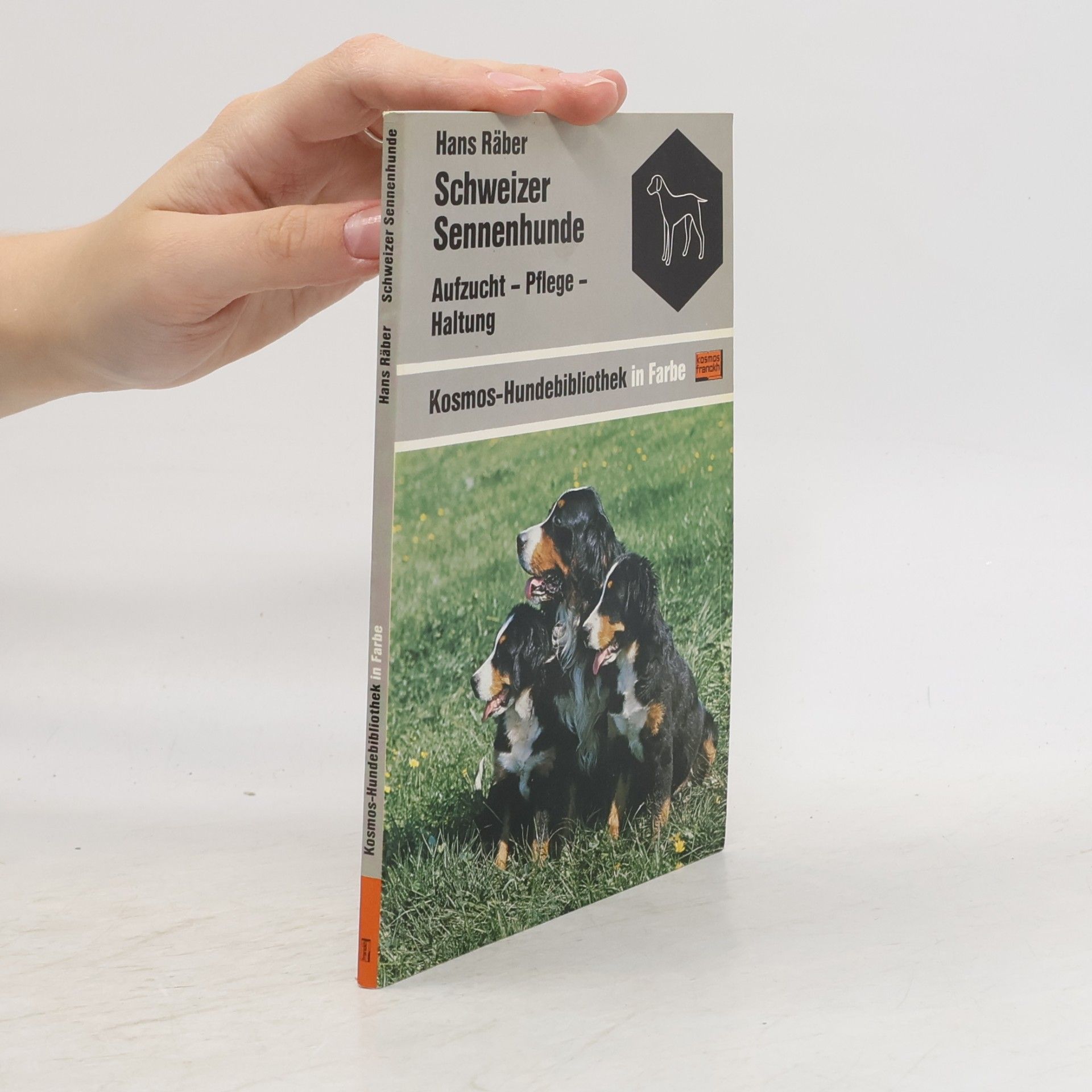 Hans Räber Schweizer Sennenhunde