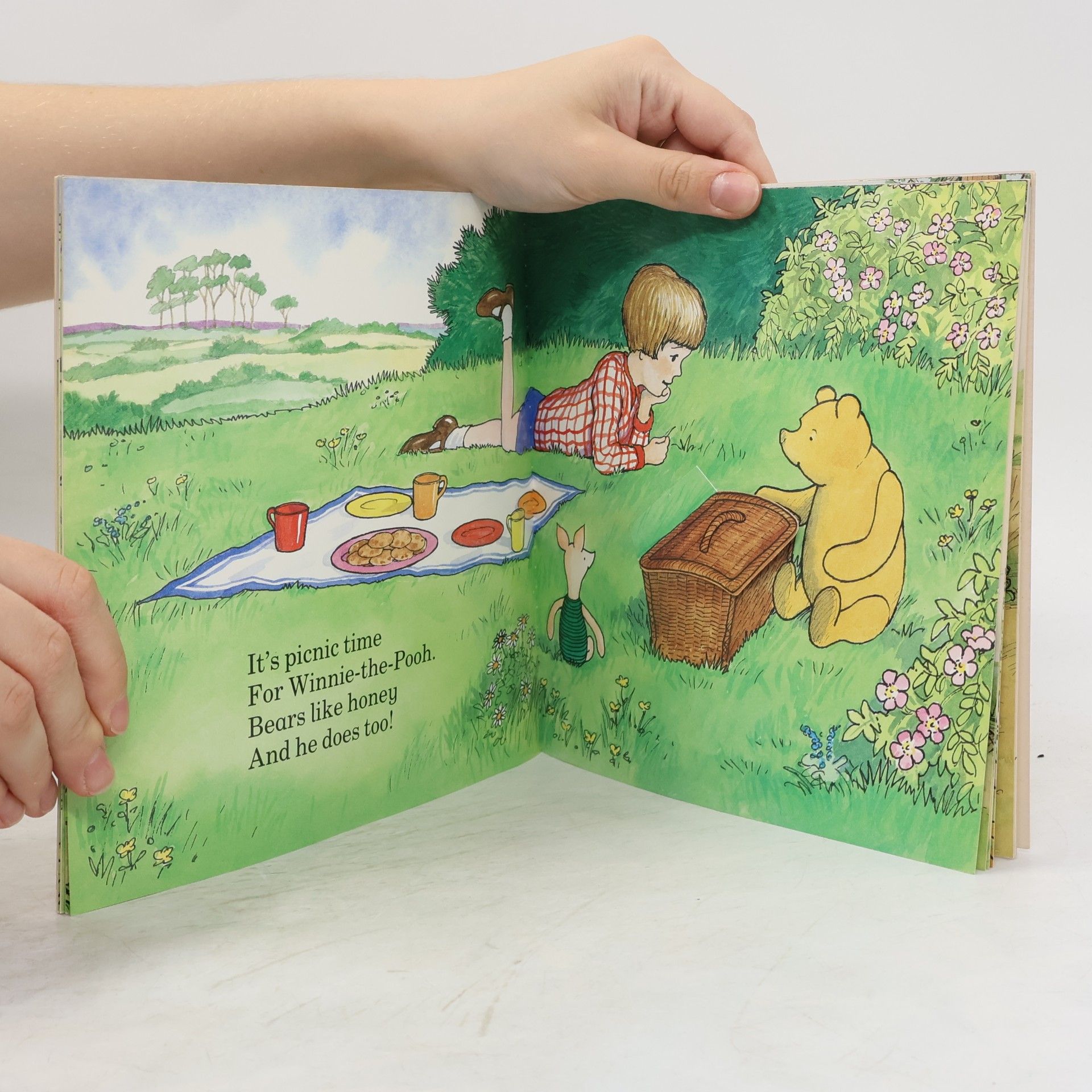 Ernest H. Shepard Is That You, Winnie-the-Pooh?