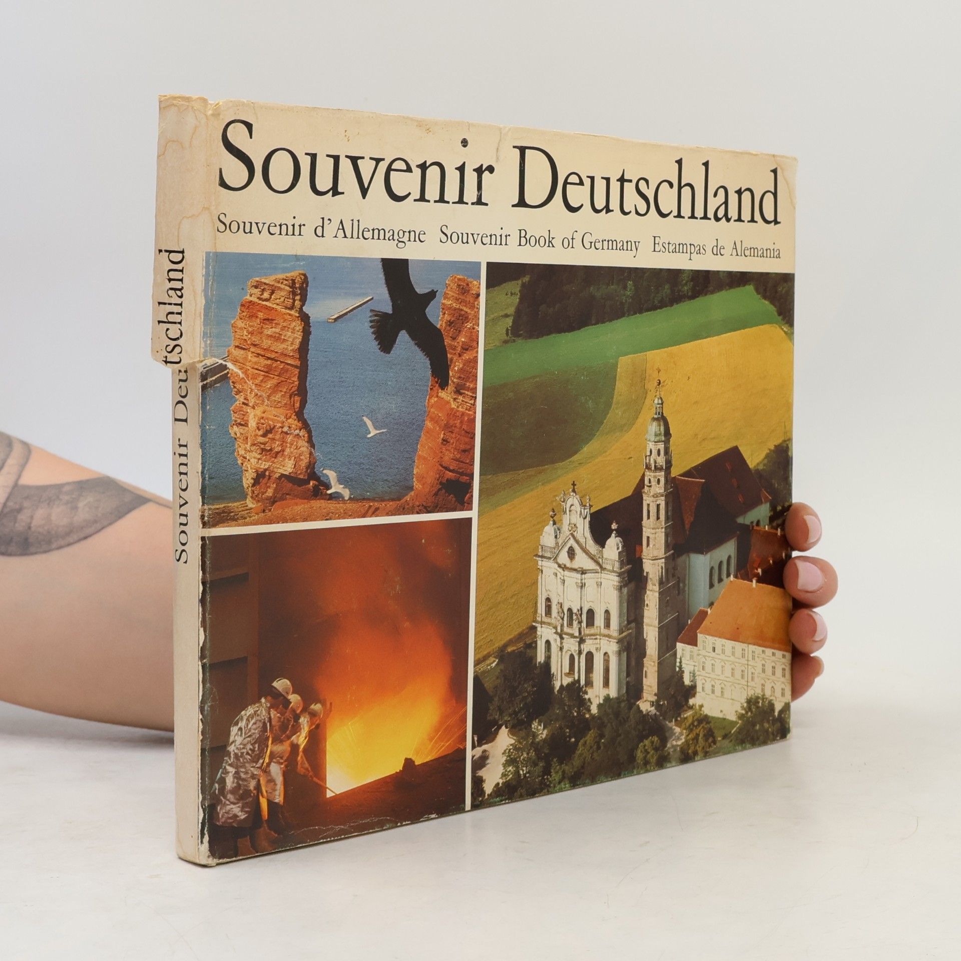 Kolektiv autorů Souvenir Deutschland