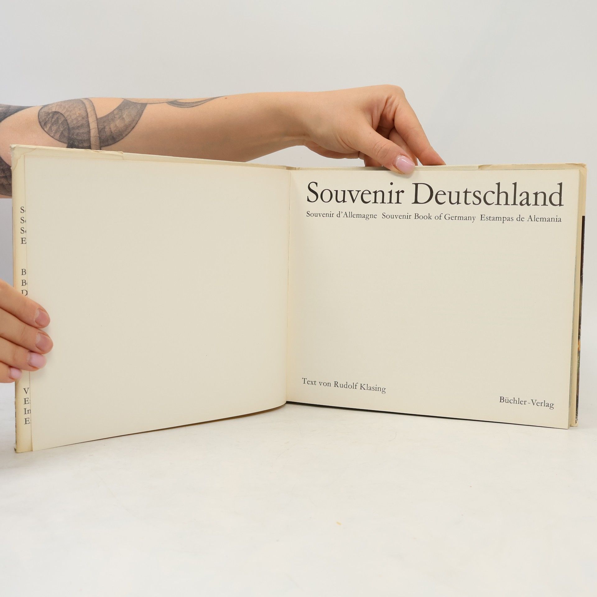 Kolektiv autorů Souvenir Deutschland