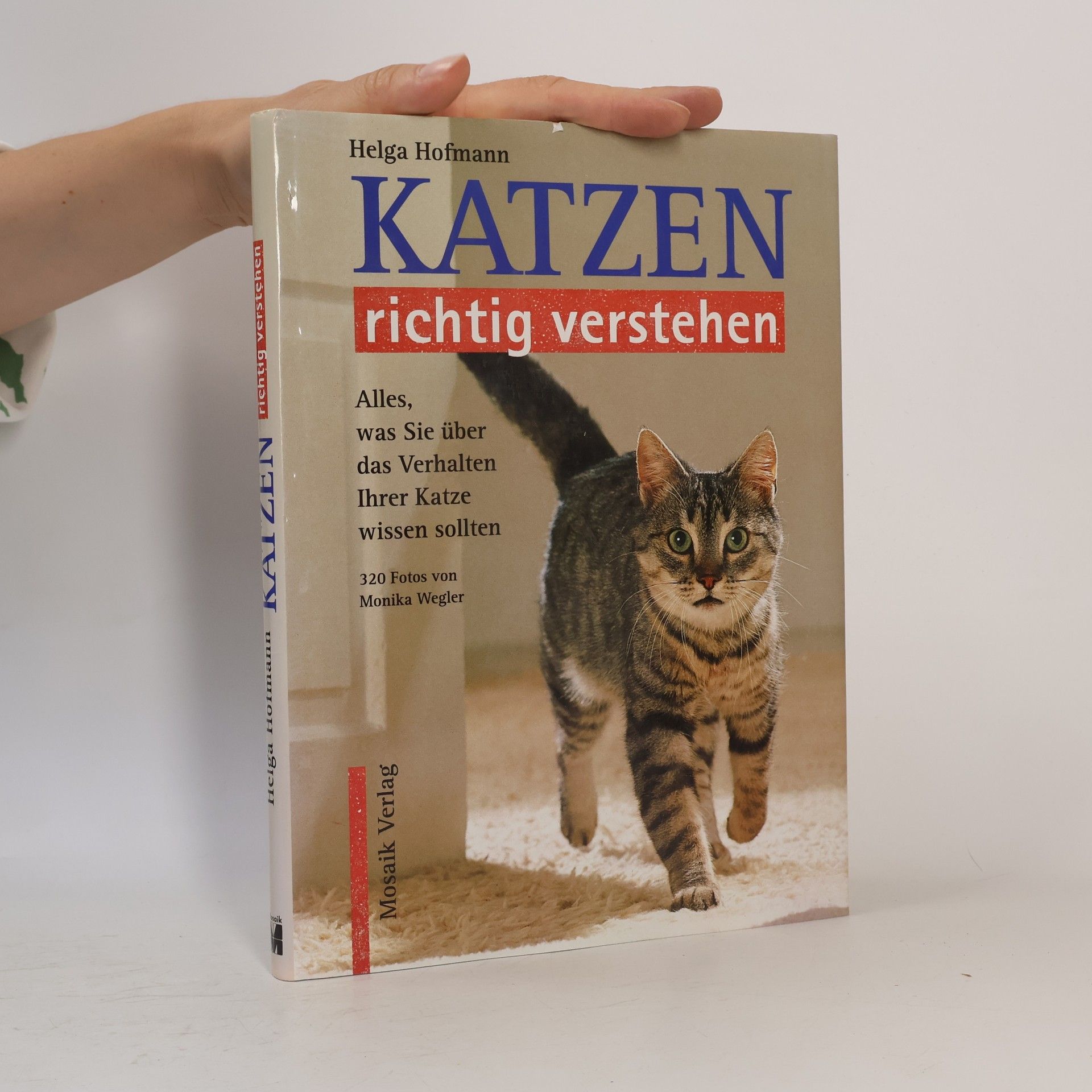 Helga Hofmann Katzen Richtig Verstehen