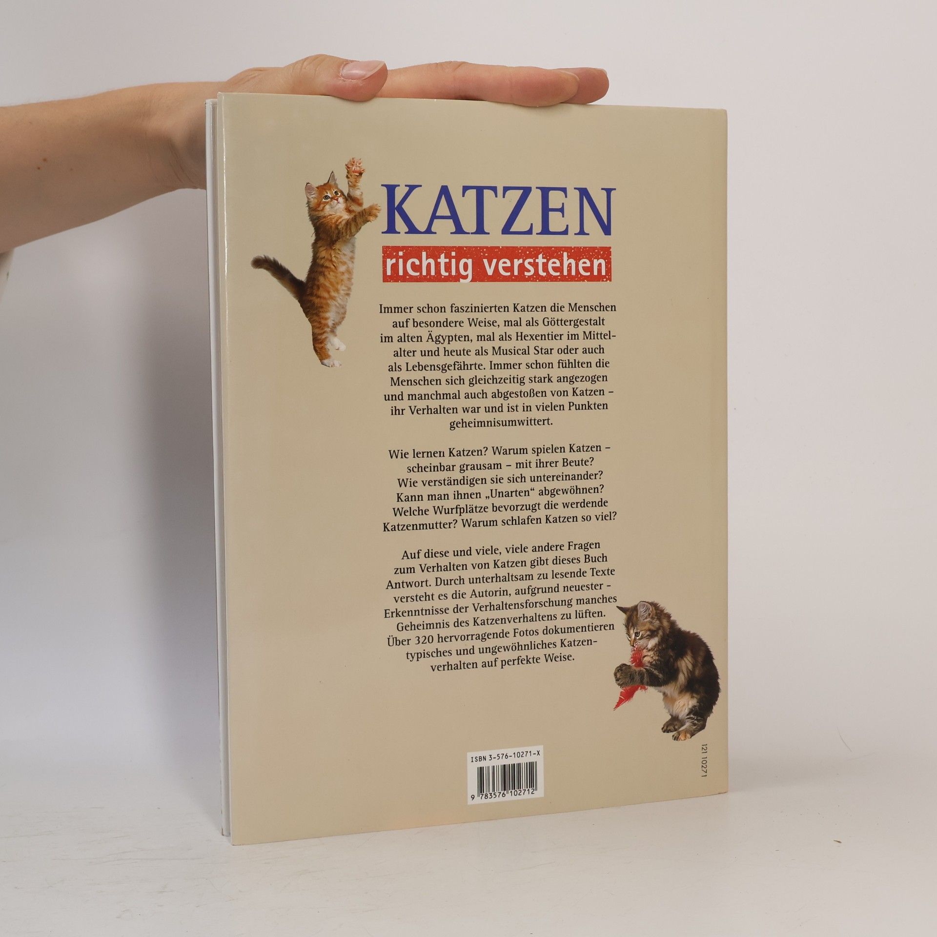 Helga Hofmann Katzen Richtig Verstehen