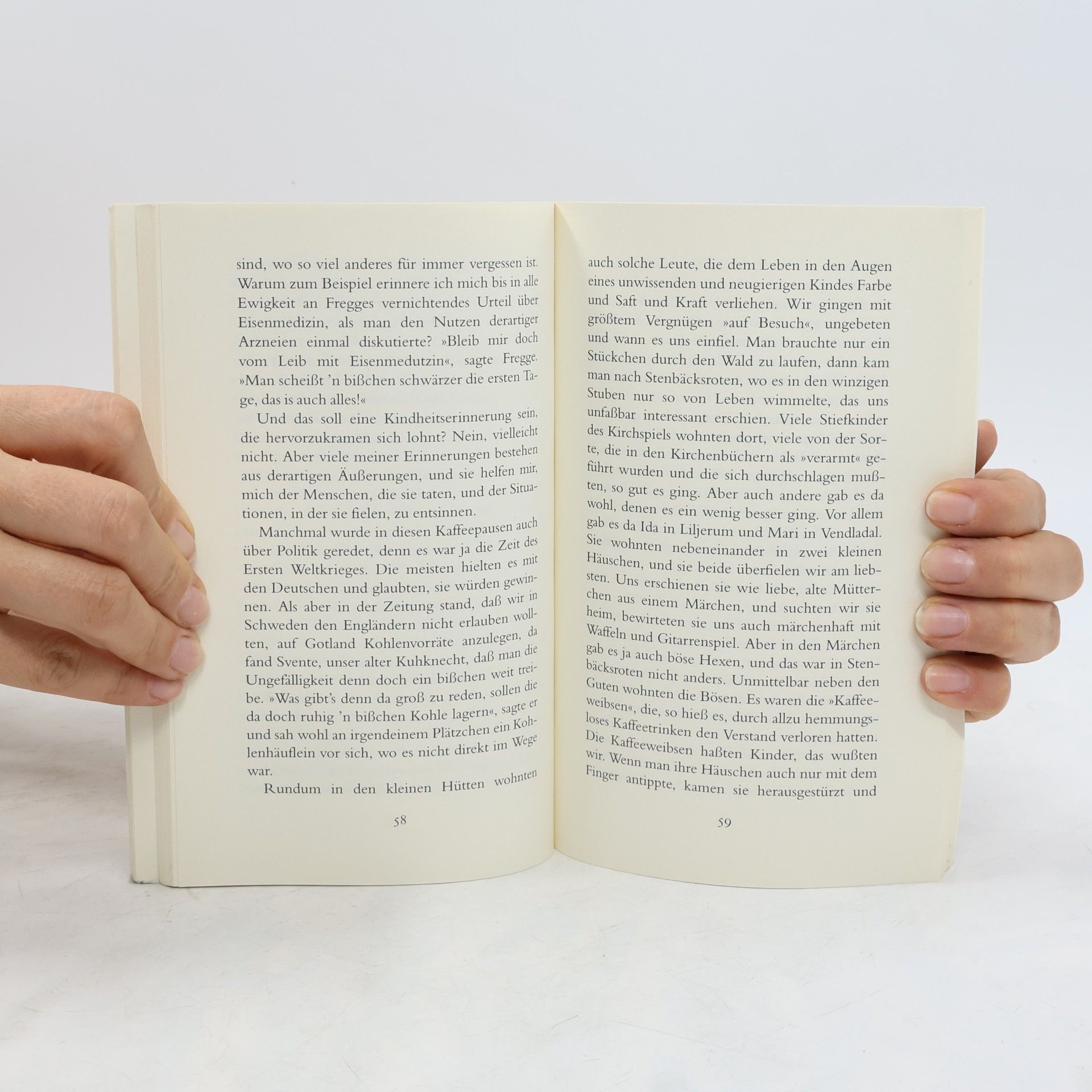 Astrid Lindgren Das entschwundene Land