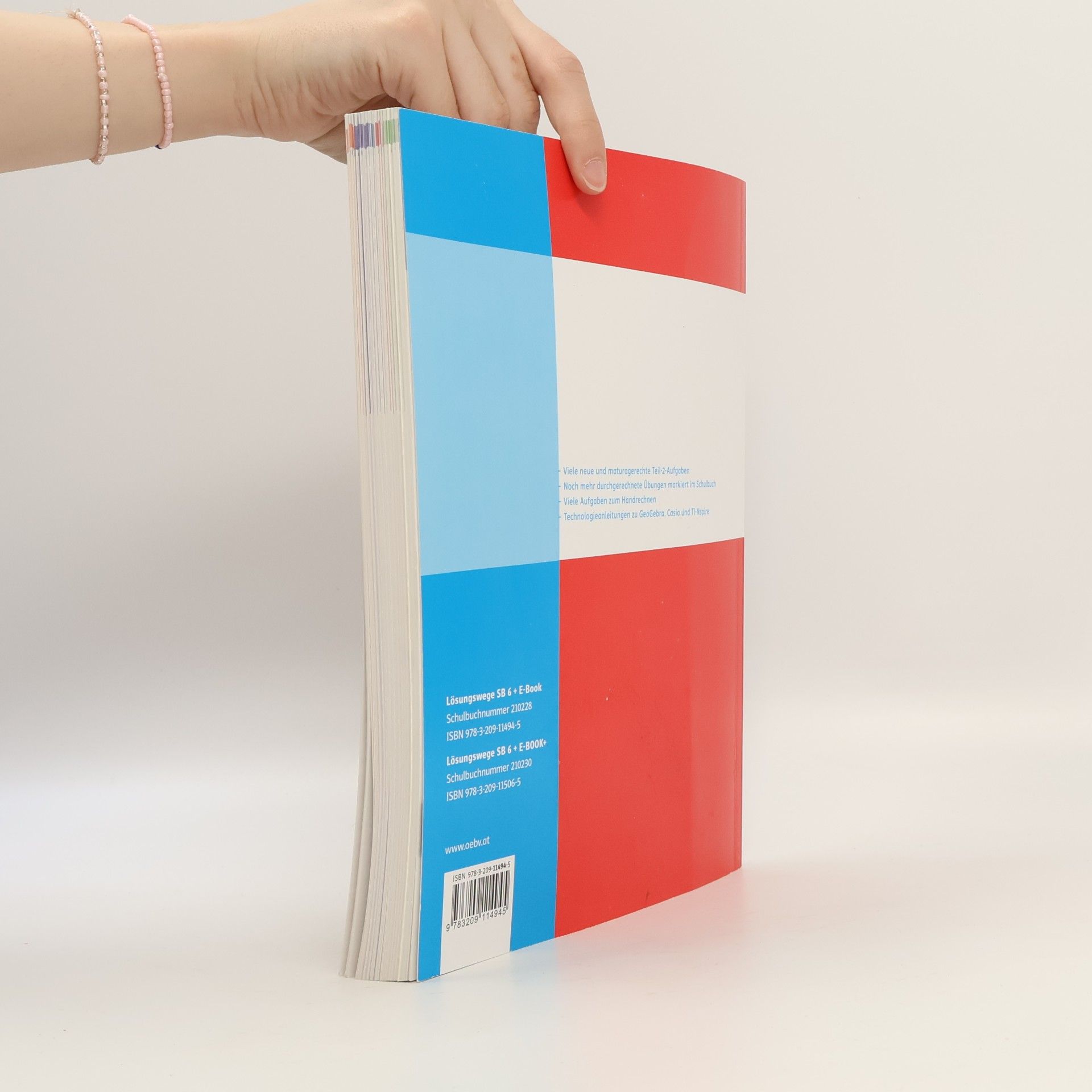 Philipp Freiler Lösungswege Mathematik Oberstufe 6
