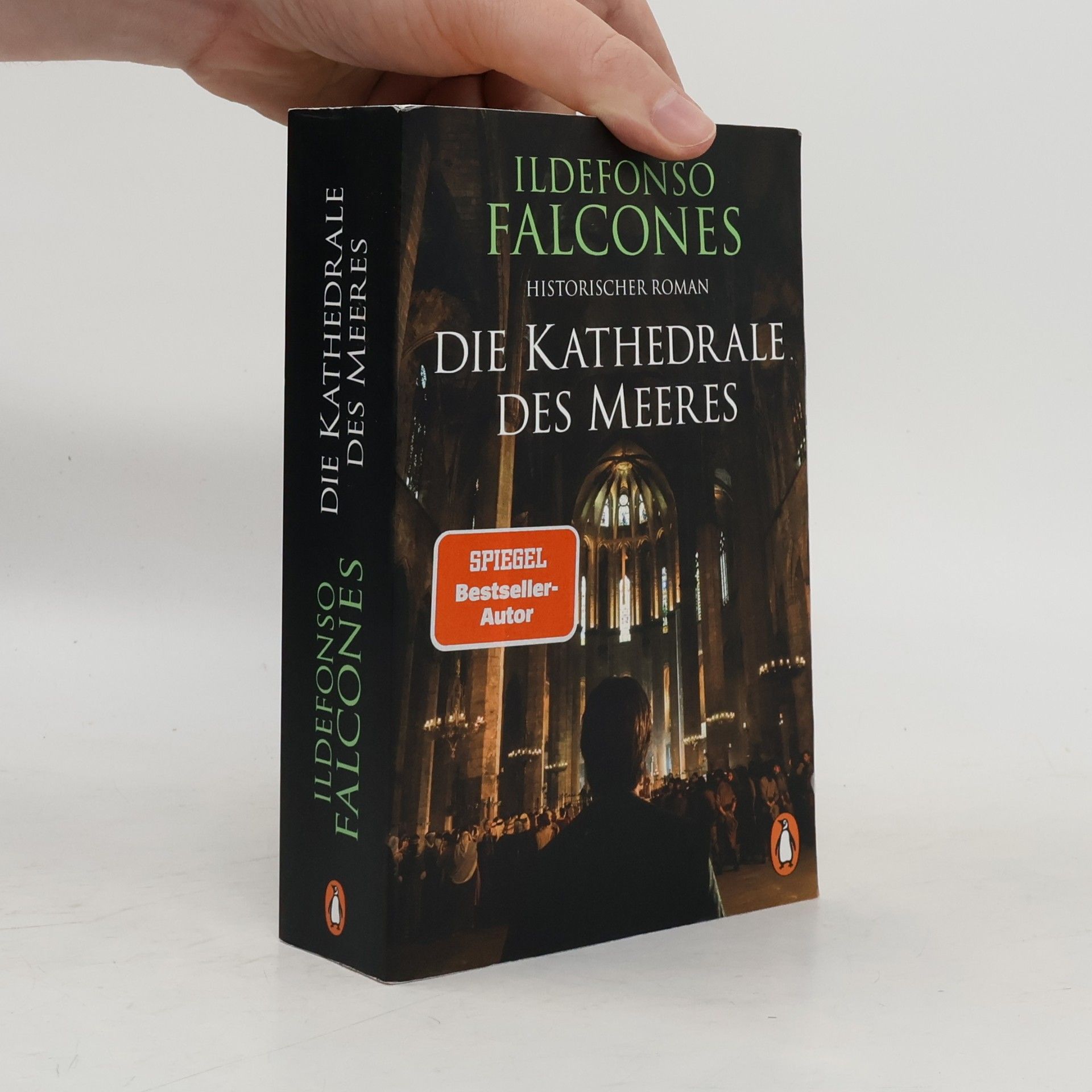 Ildefonso Falcones Die Kathedrale des Meeres