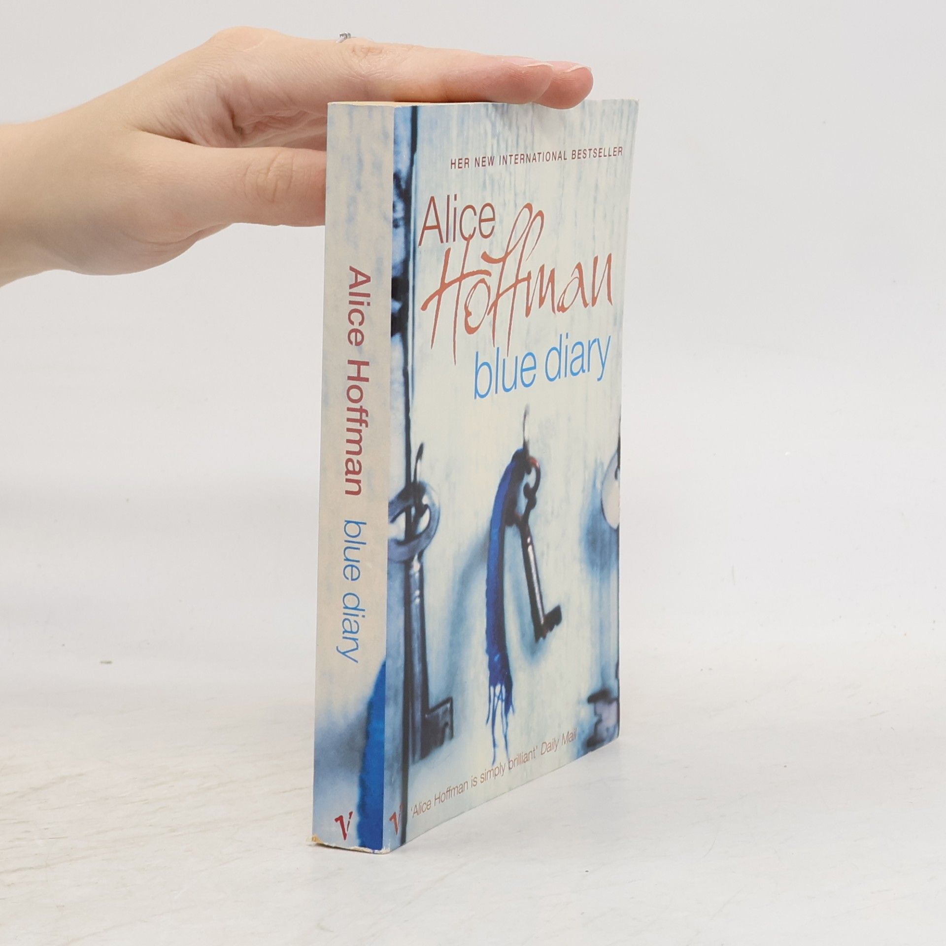 Alice Hoffmann Blue Diary