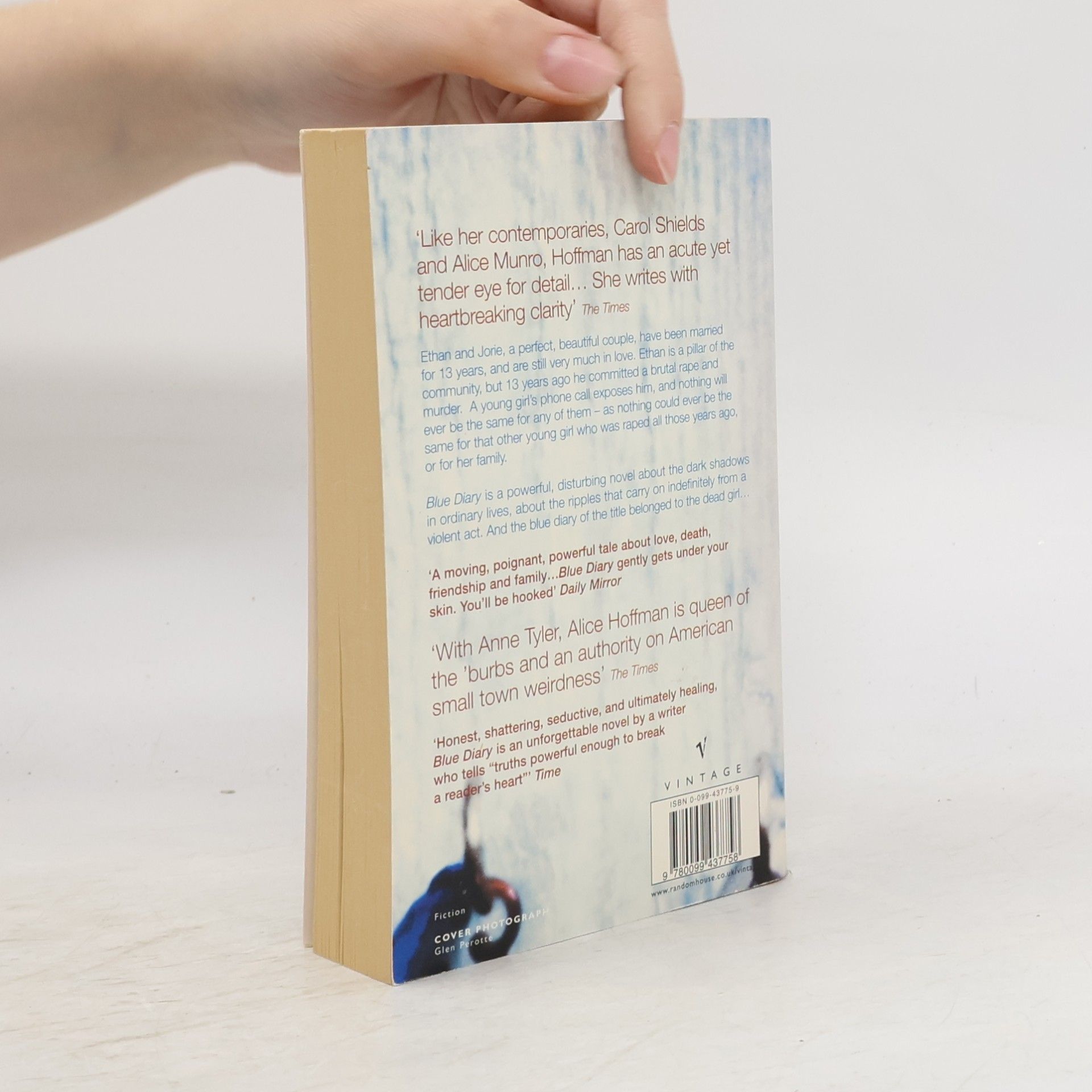 Alice Hoffman Blue Diary