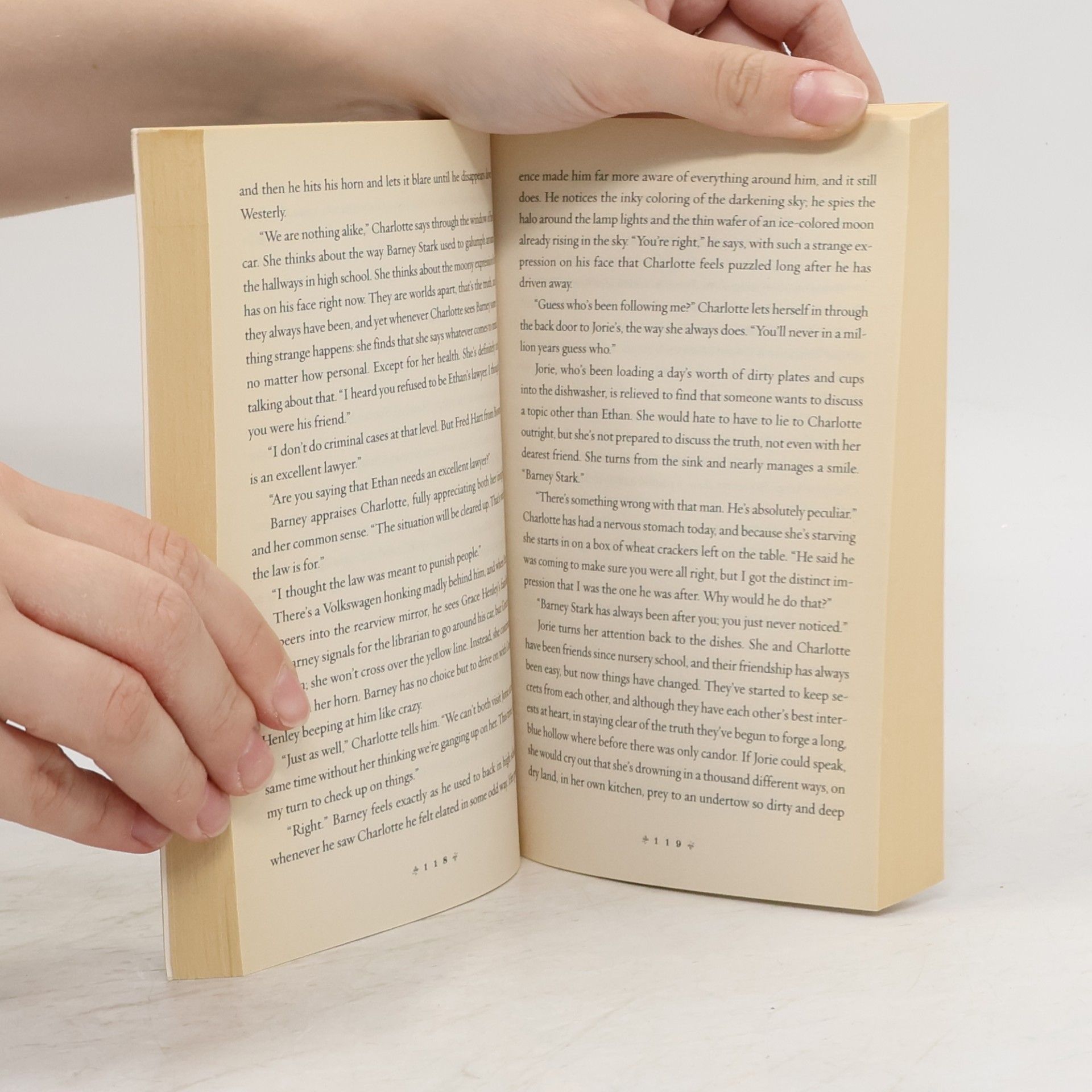 Alice Hoffman Blue Diary