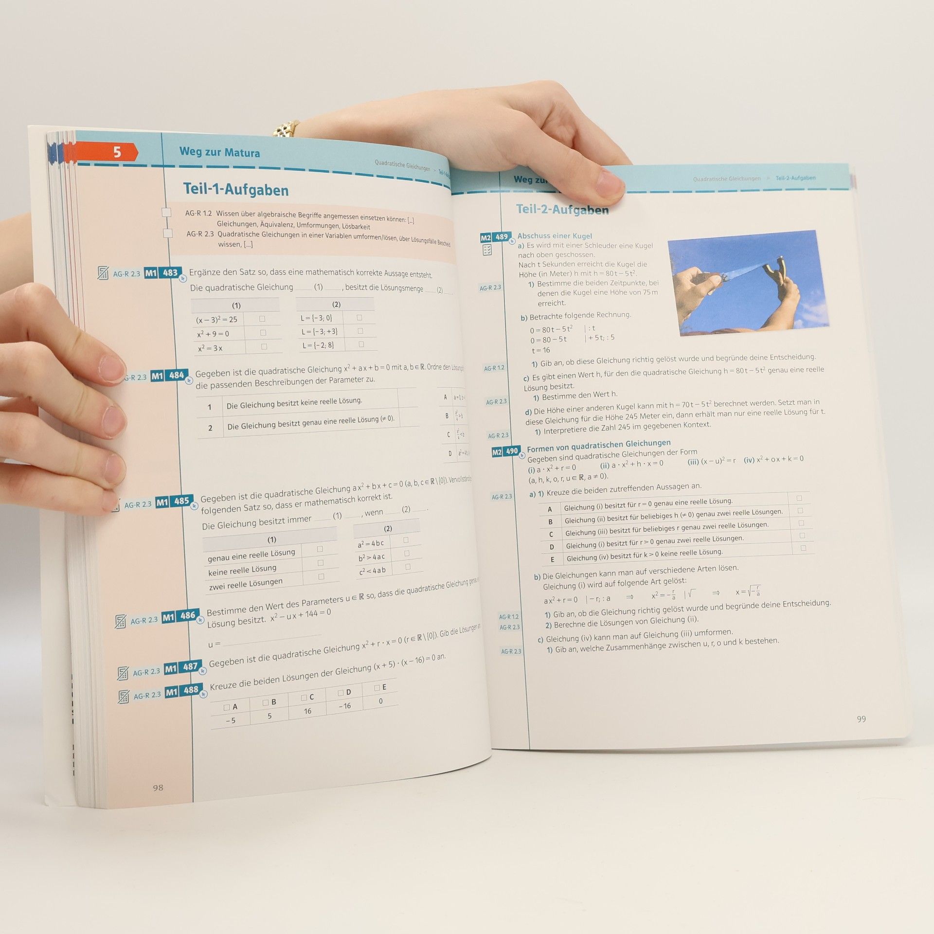 Philipp Freiler Lösungswege Mathematik Oberstufe 5