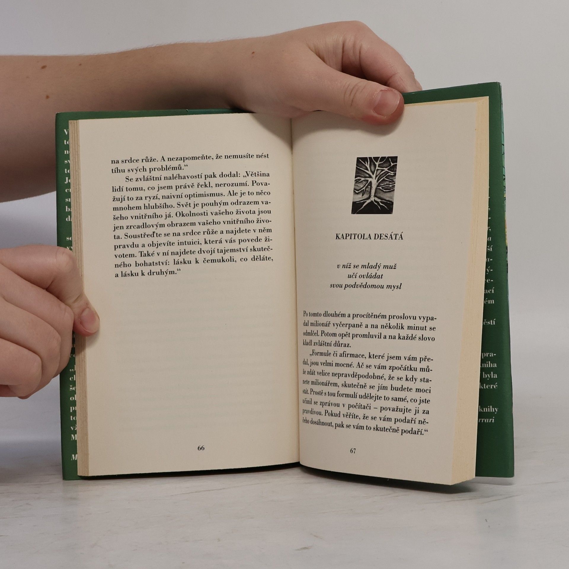 Mark Fisher Muž, který chtěl být bohatý