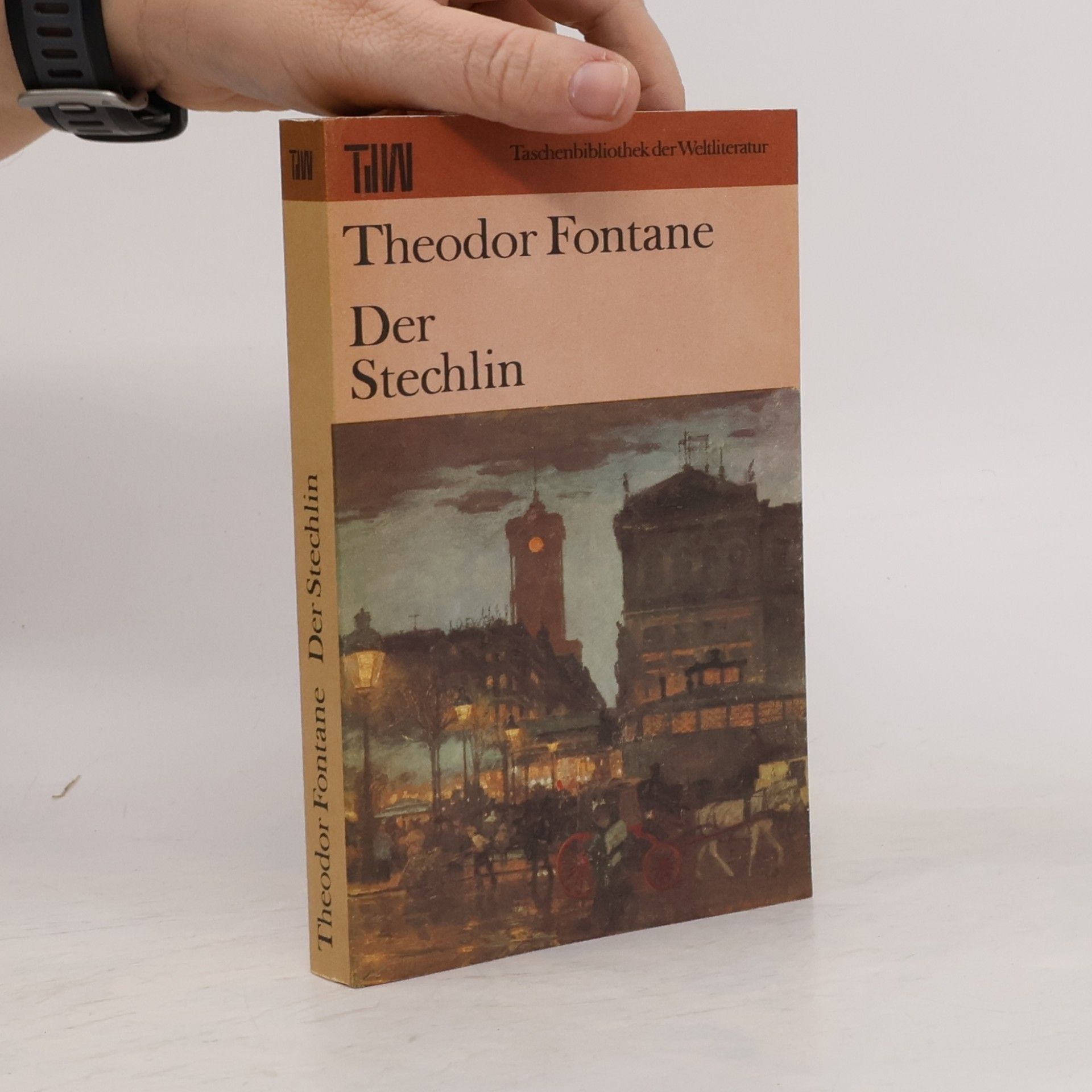 Theodor Fontane Der Stechlin