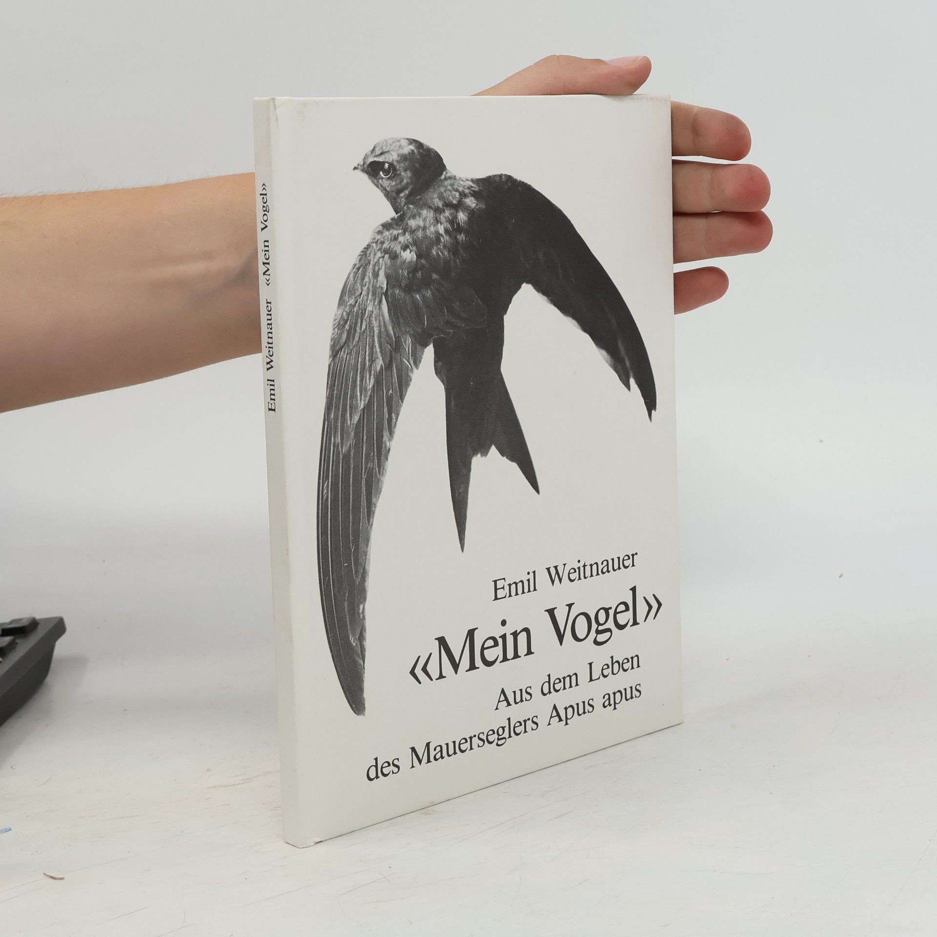 Mein Vogel