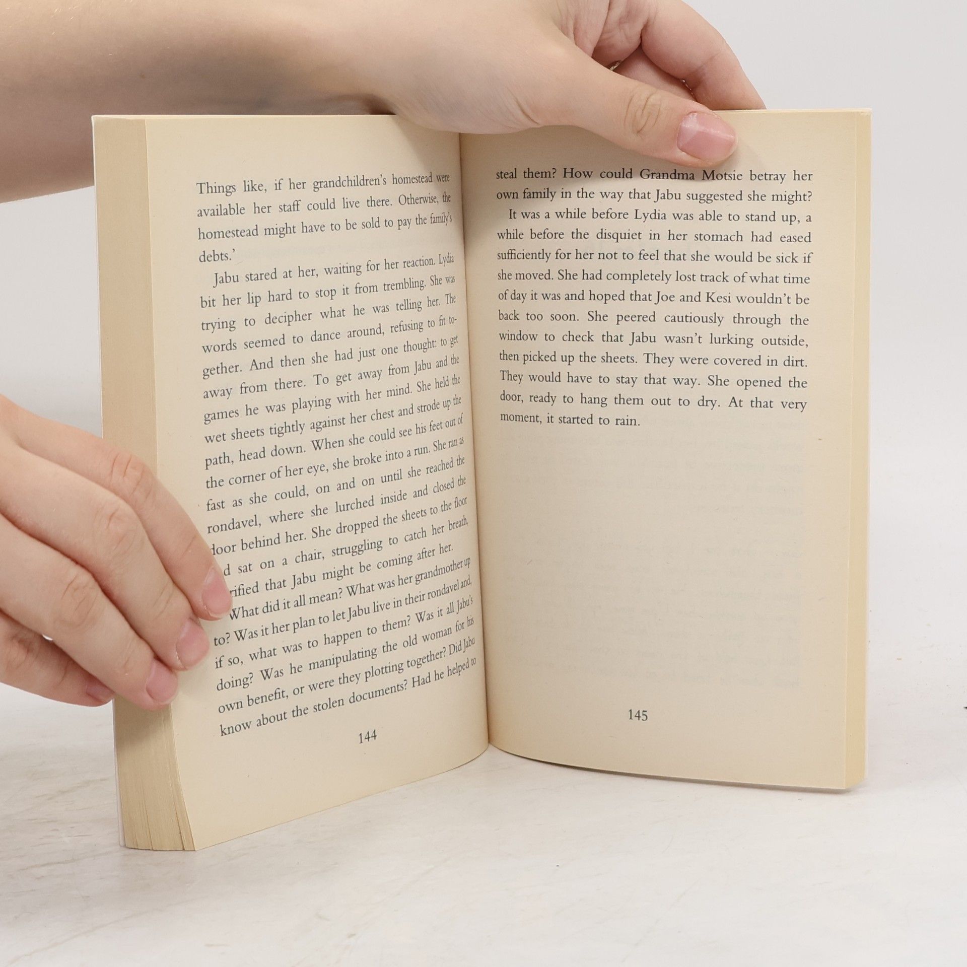Sally Grindley Torn Pages