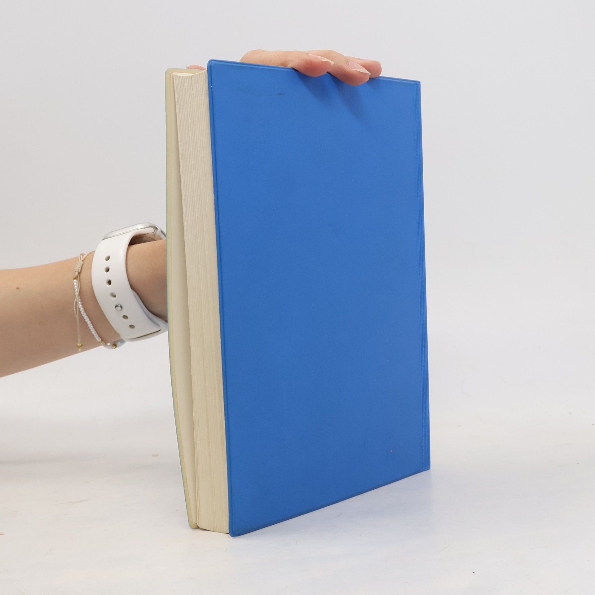 Heinz J. Brands Handbuch Wasser