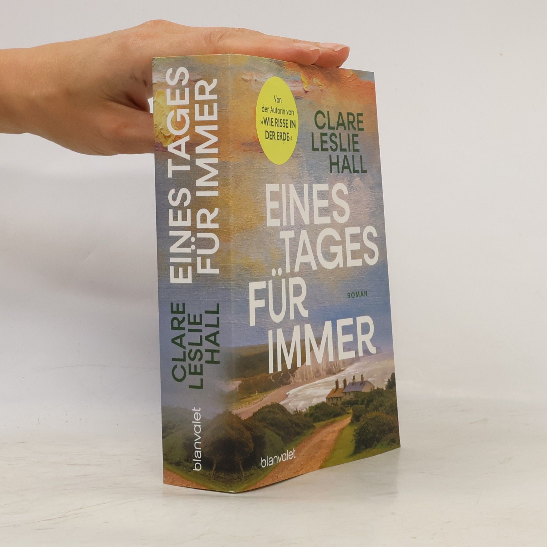 Clare Leslie Hall Eines Tages für immer