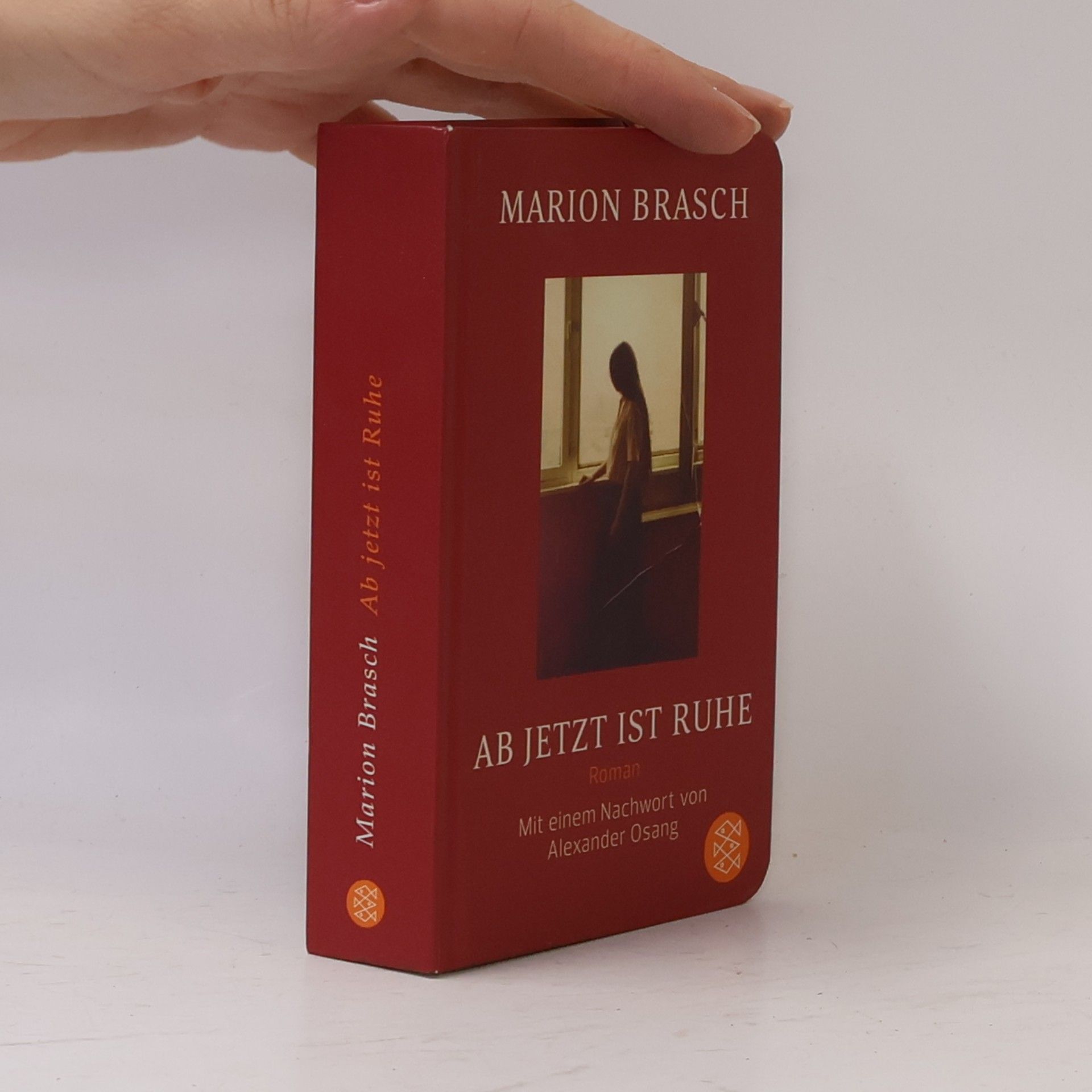 Marion Brasch Ab jetzt ist Ruhe