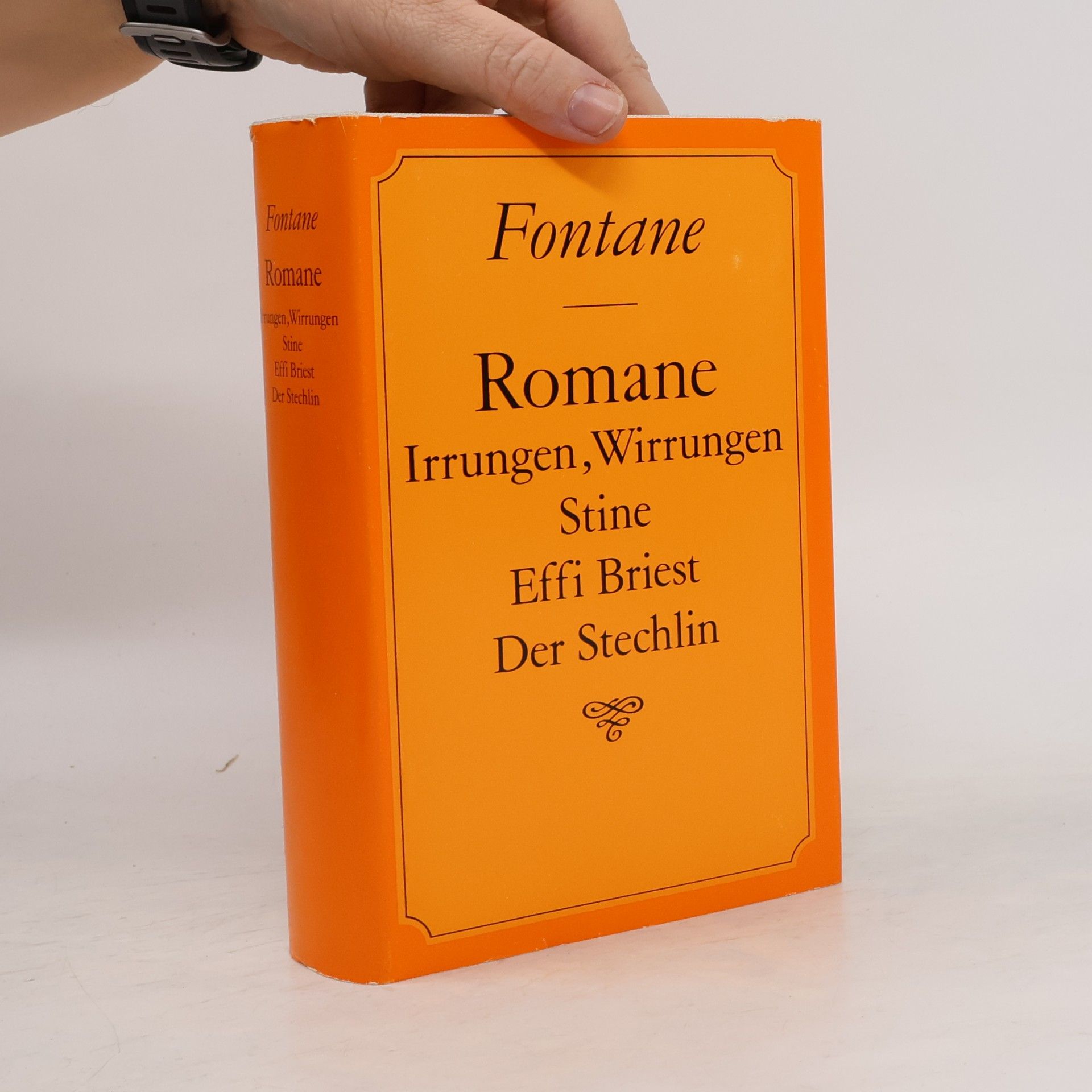 Theodor Fontane Romane Irrungen, Wirrungen Stine Effi Briest Der Stechlin