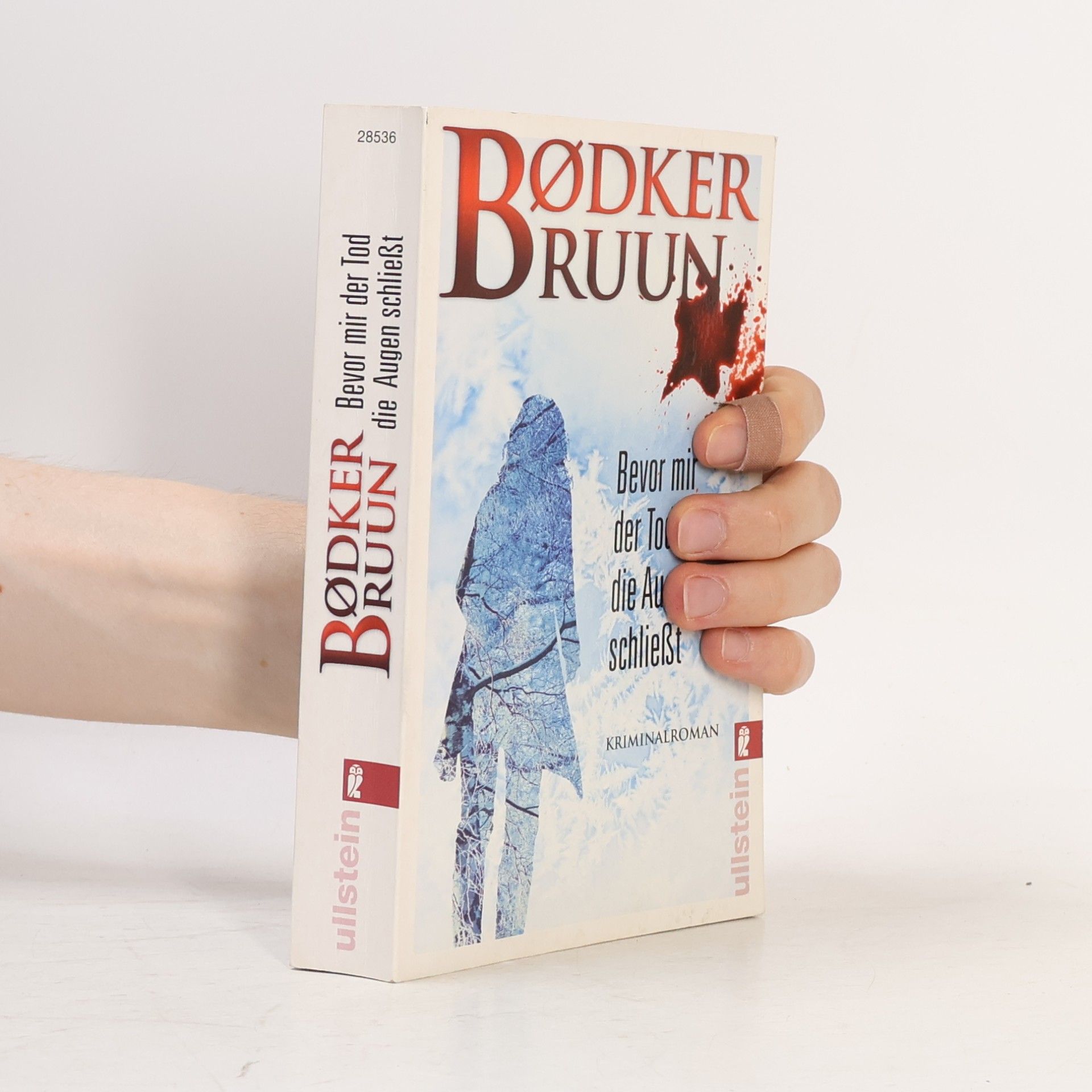 Karen Vad Bruun Bevor mir der Tod die Augen schließt
