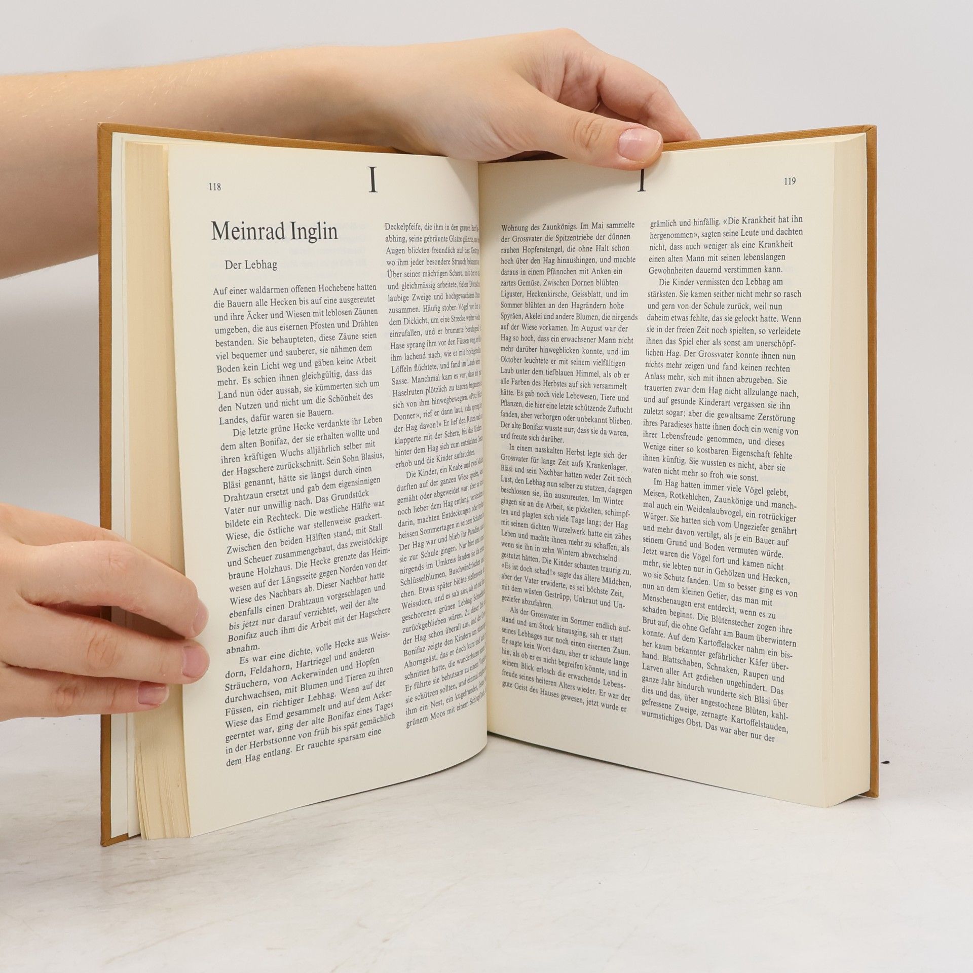 Bruno Stephan Scherer Innerschweizer Schriftsteller