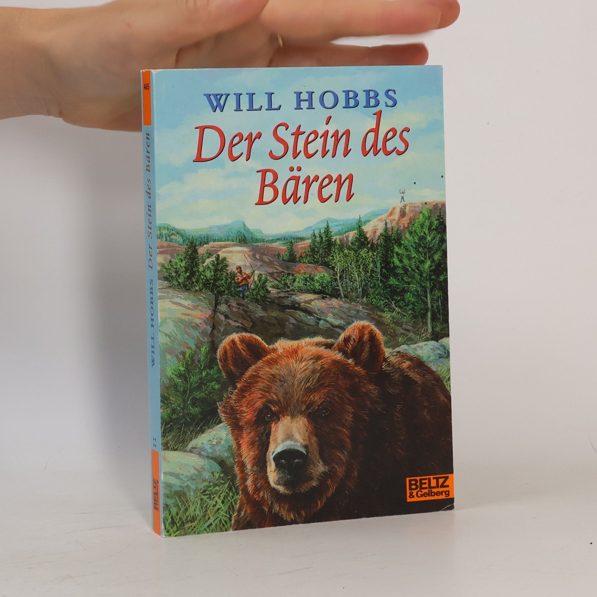 Will Hobbs Der Stein des Bären