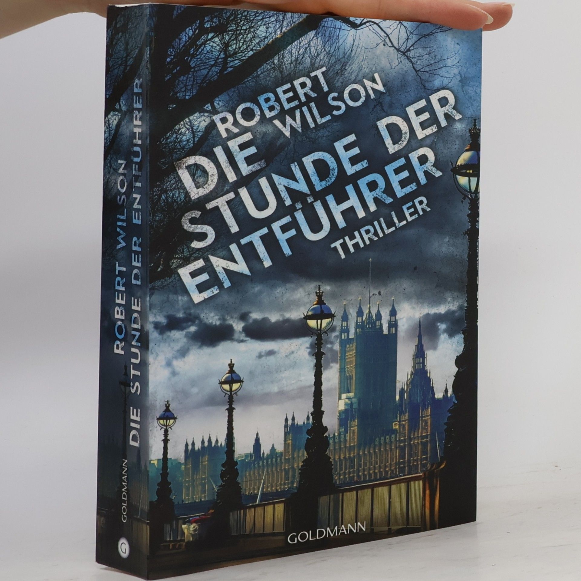 Robert Wilson  Die Stunde der Entführer