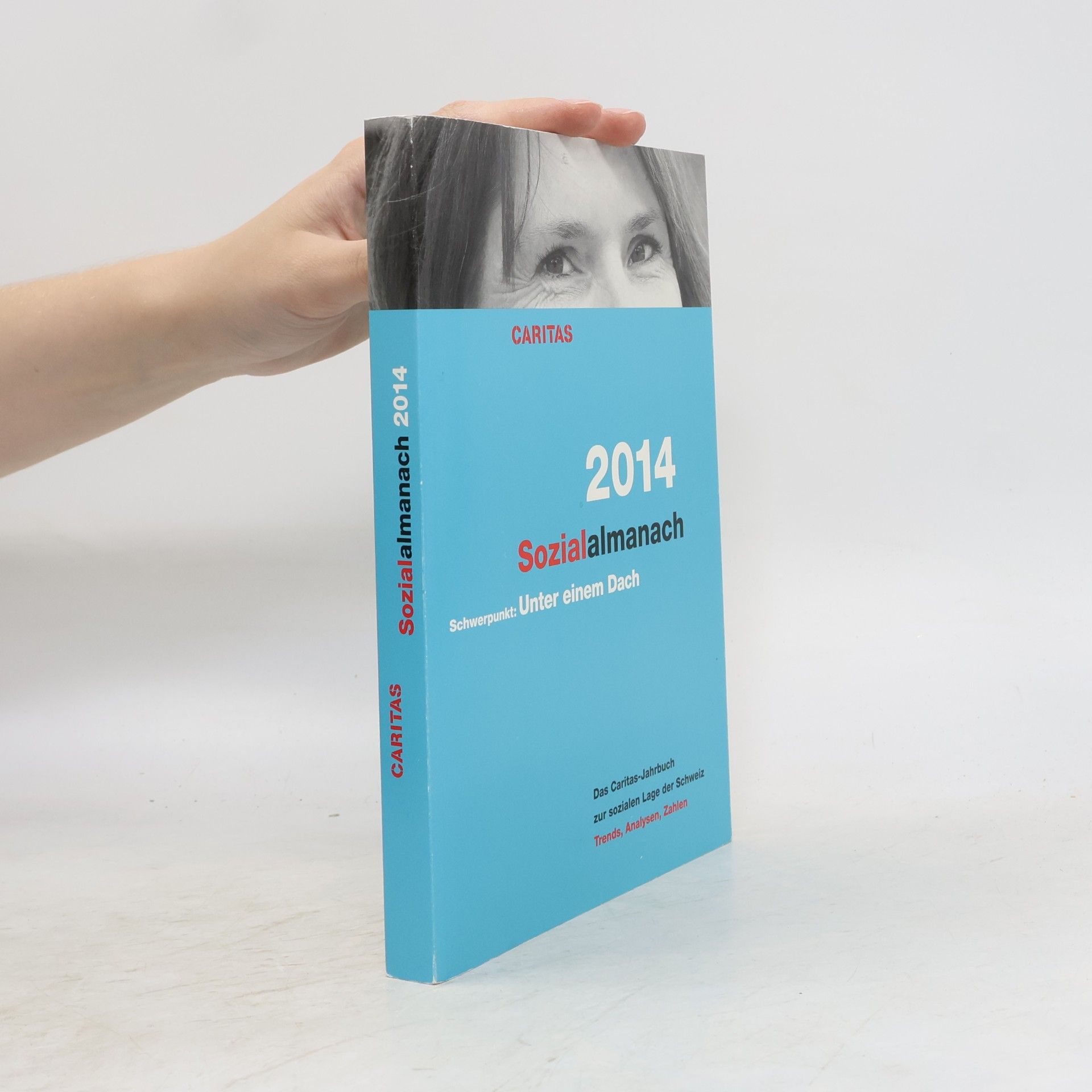 Iwona Swietlik Sozialalmanach 2014