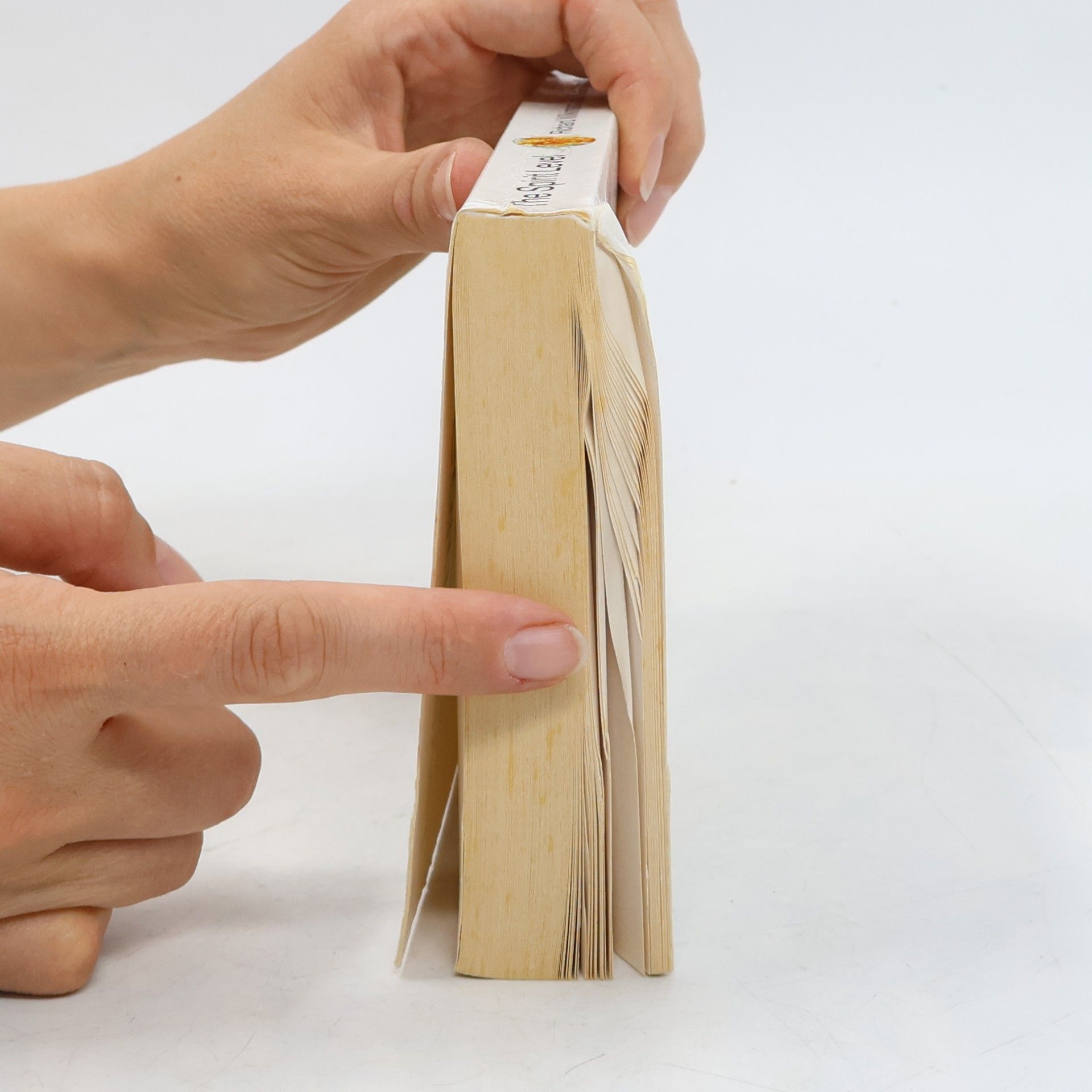 Kate Pickett The Spirit Level