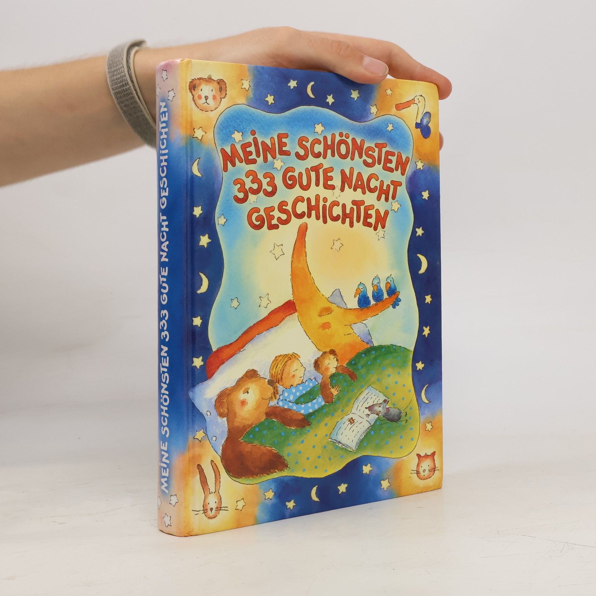 Paola Bertolini Grudina Meine schönsten 333 Gute-Nacht-Geschichten