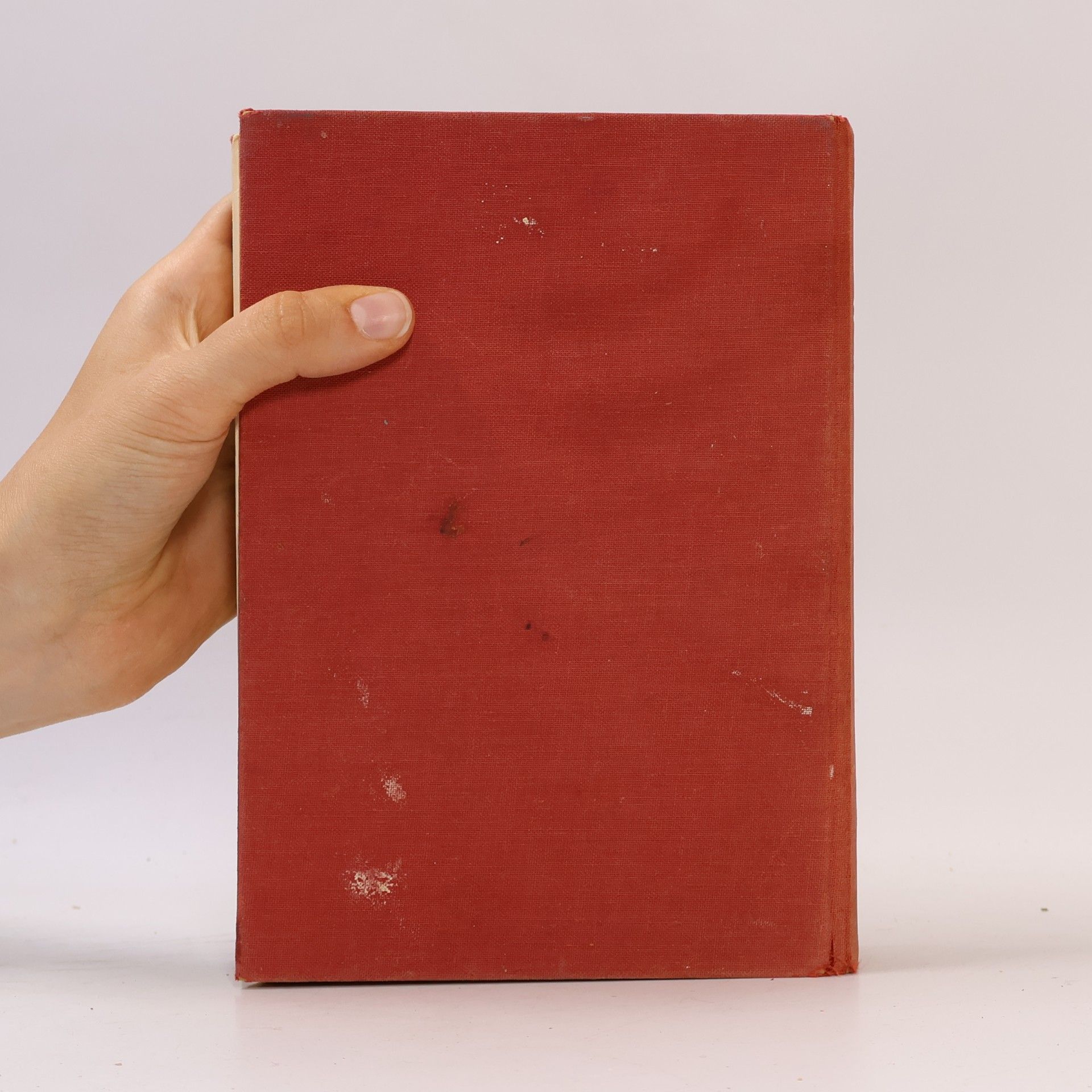 Autorenkollektiv Bauers Neues Kochbuch“