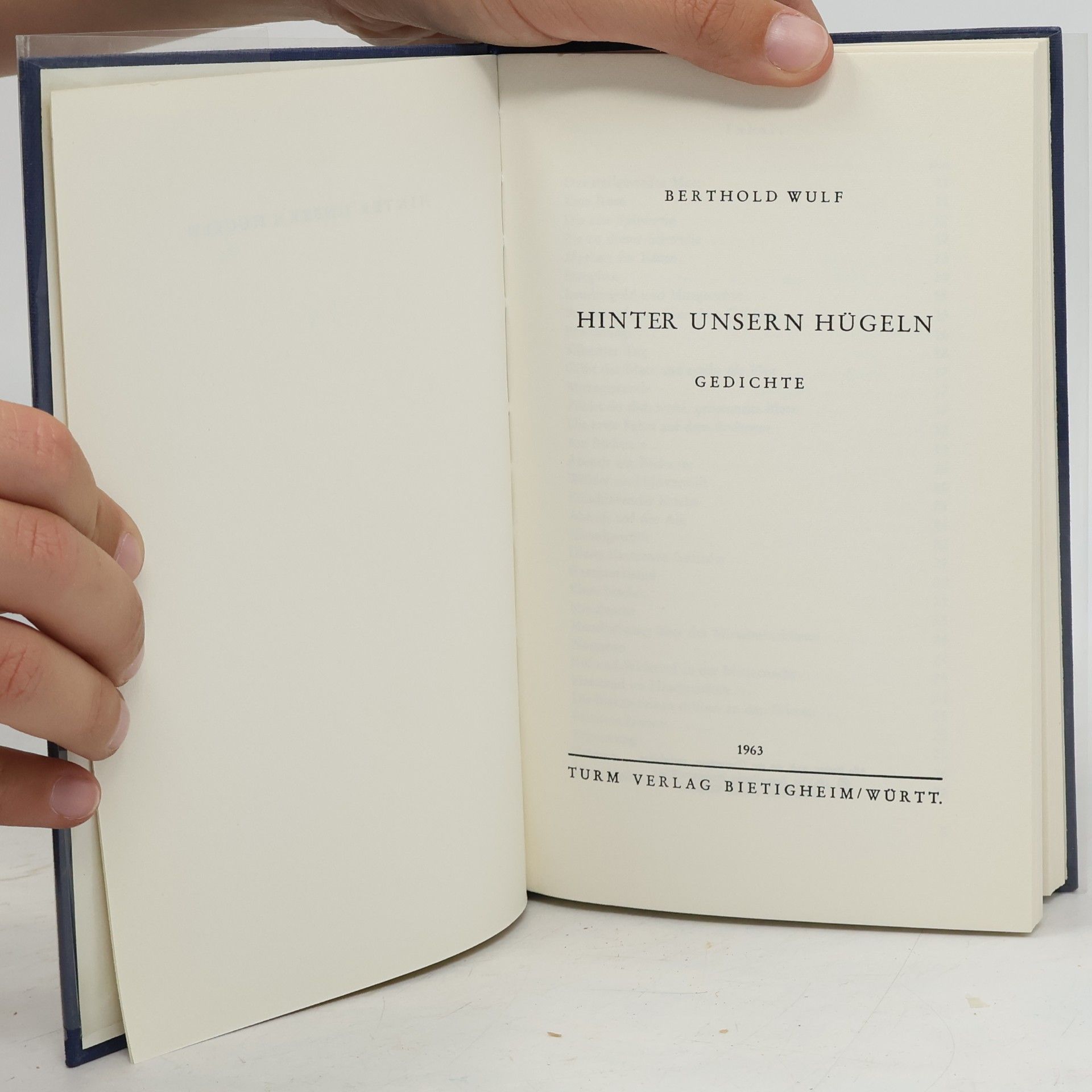 Berthold Wulf Hinter unsern Hügeln