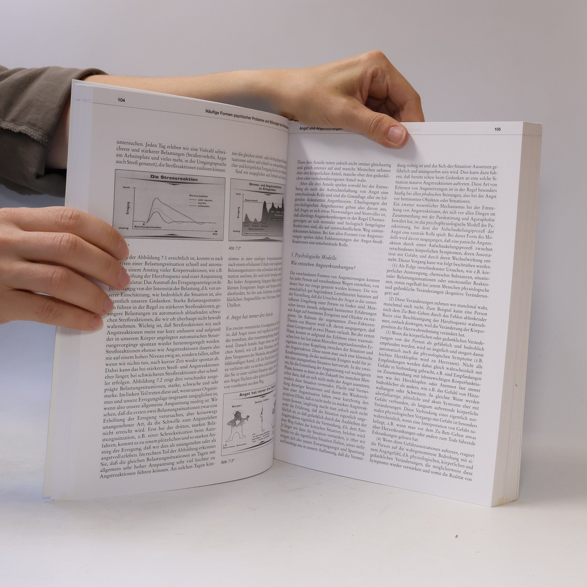 Hans-Ulrich Wittchen Handbuch Psychischer Störungen